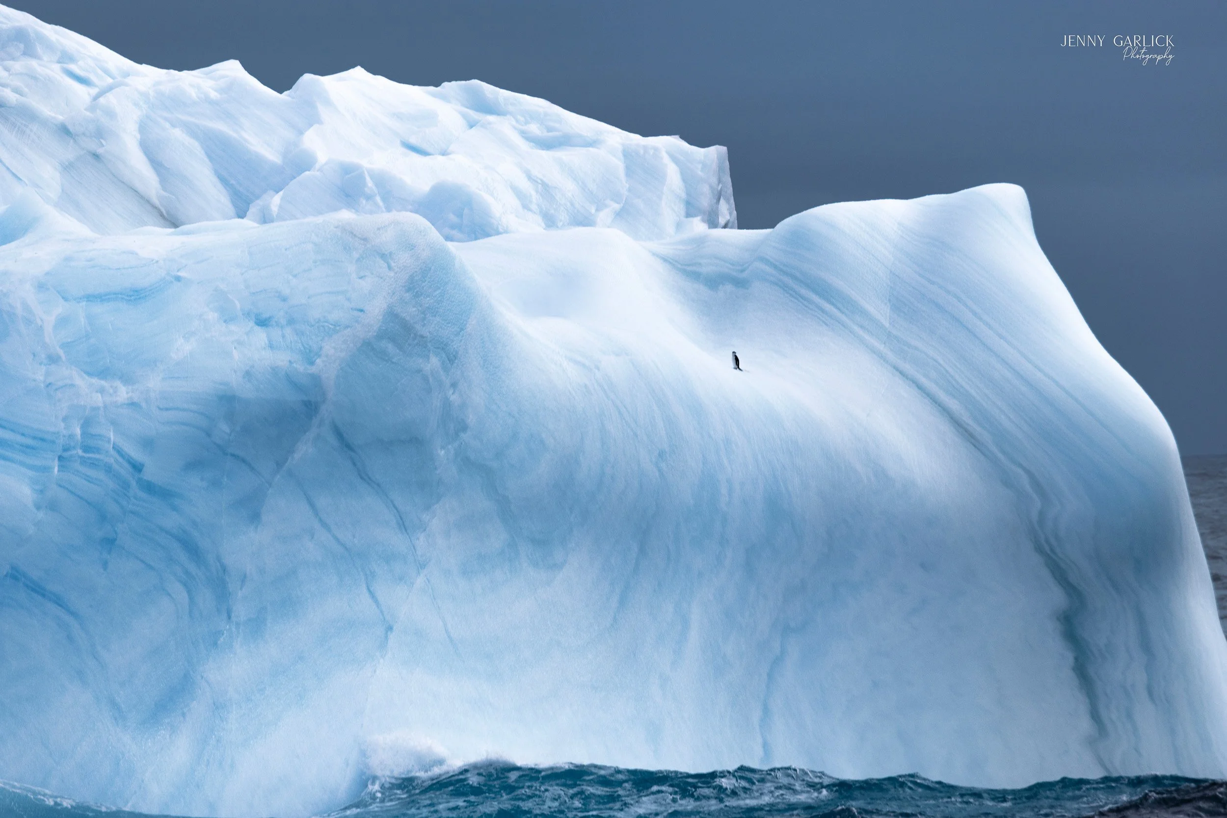 All Alone on My Iceberg | 2nd Place · Pulse Px Awards · Cold Silence · Category A · 2025 · 132 entries