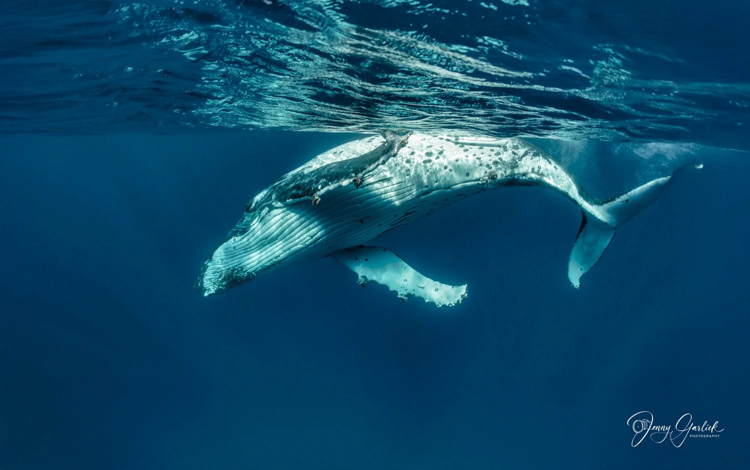 untitled shoot-247-Edit-Edit-Edit.jpg