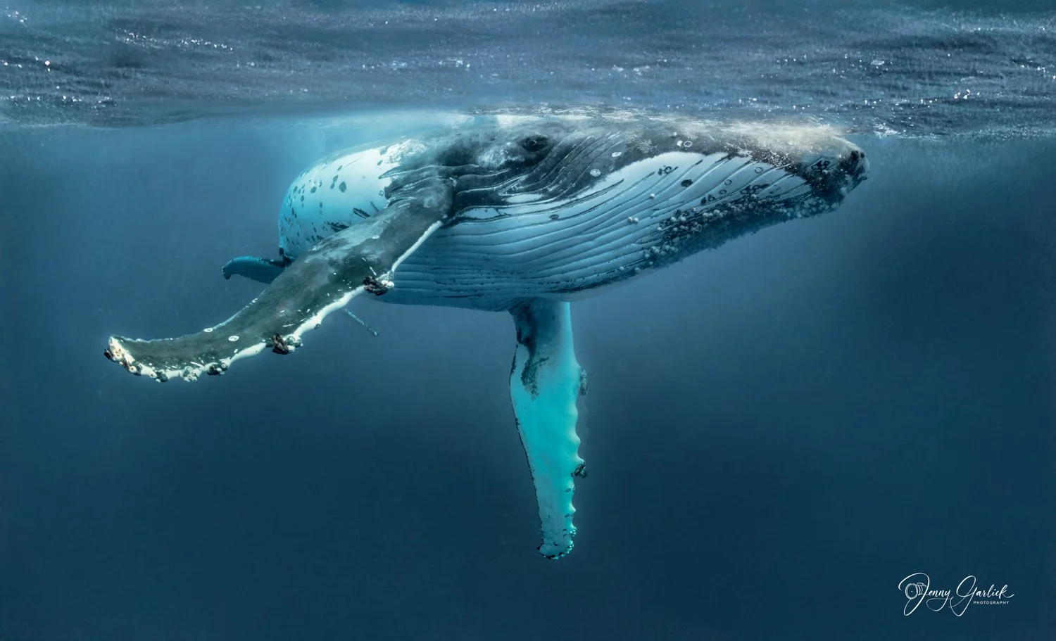 untitled shoot-303-Edit-Edit-2-Edit-Edit.jpg