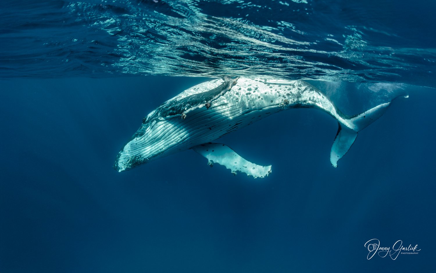 untitled shoot-247-Edit-Edit-Edit.jpg