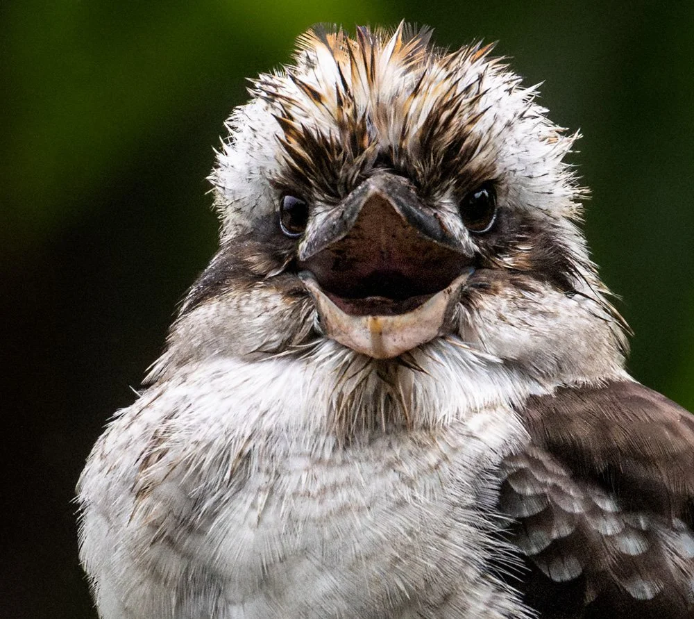 Two Edits, One Moment