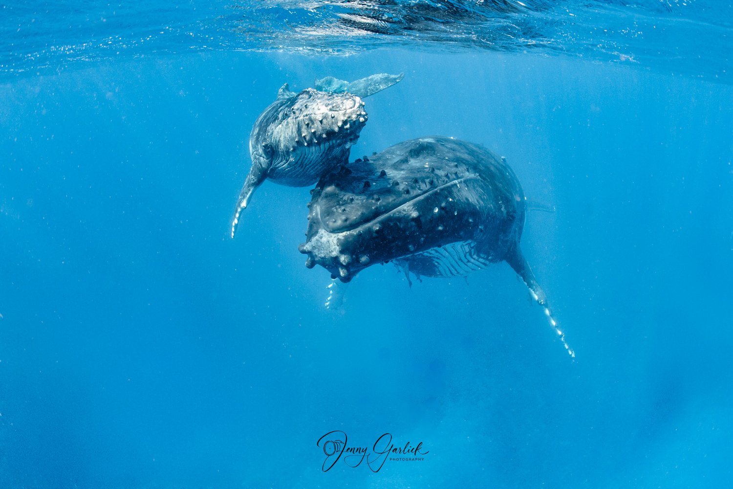 untitled shoot-124-Edit-Edit.jpg