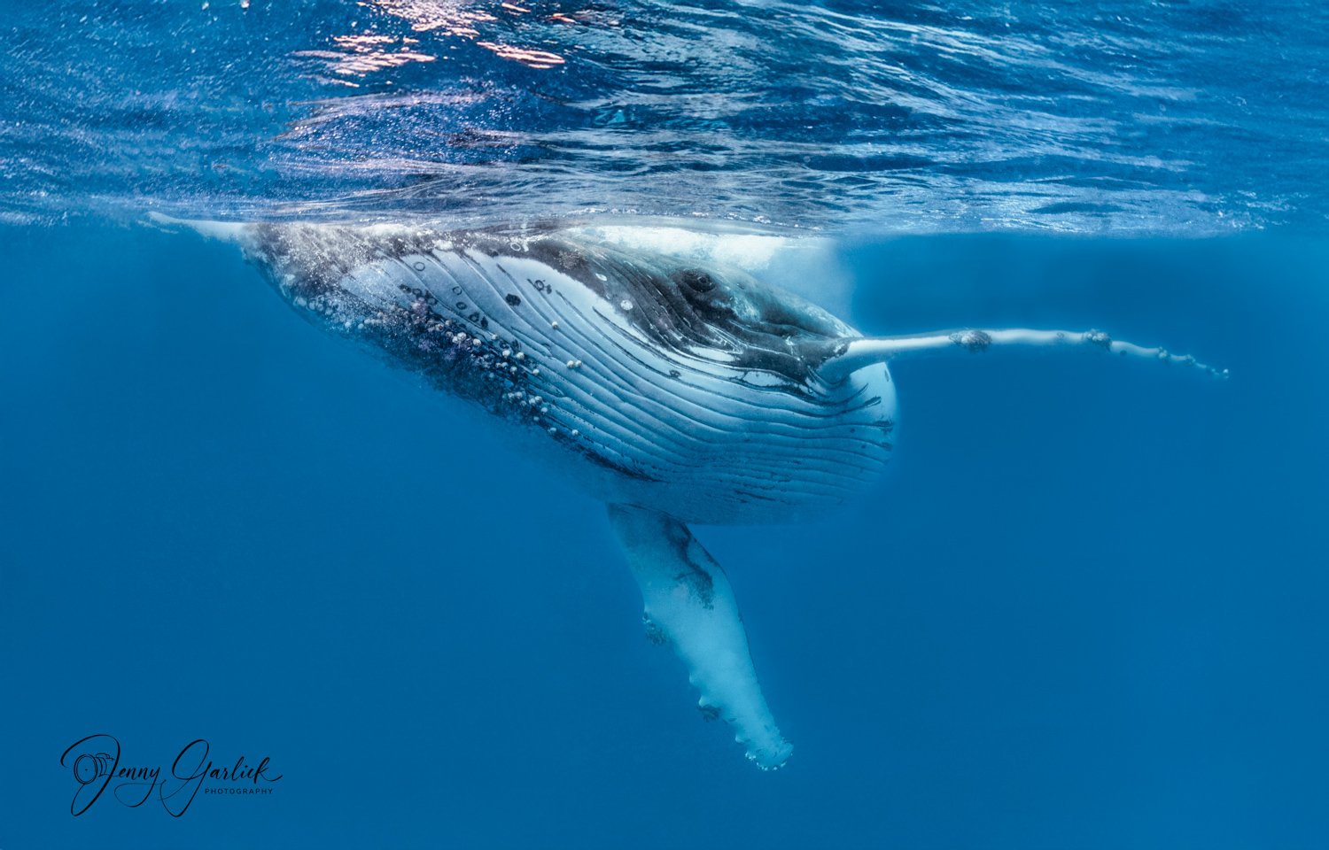 fav with horizontal water-Edit-Edit.jpg