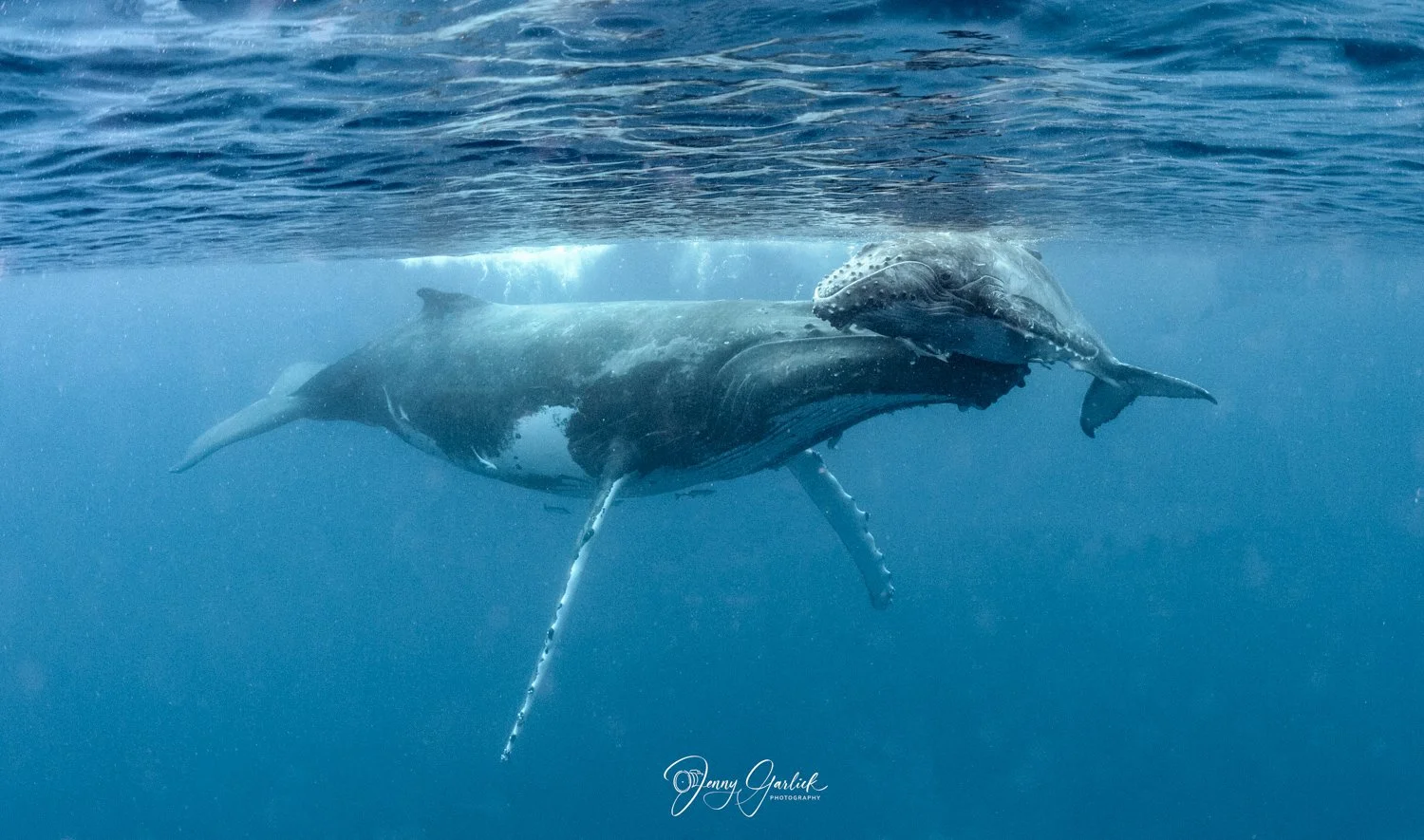 untitled shoot-014-Edit-Edit.jpg