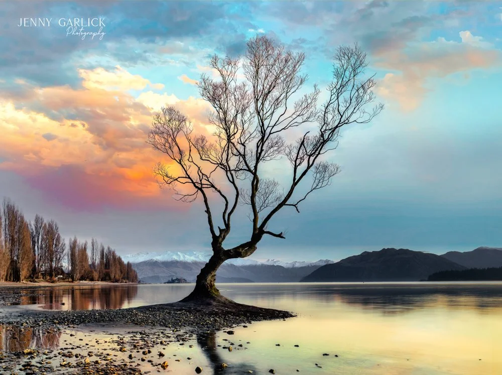 A leafless tree growing out of a small island in a calm lake, with colorful sunset sky, distant mountains, and trees along the shoreline.