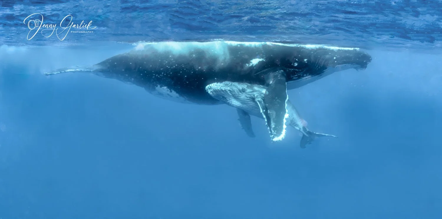 untitled shoot-220-Edit-2-Edit-2.jpg