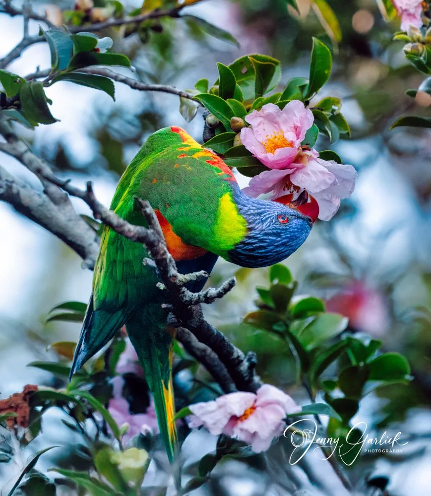 untitled (1368 of 1407)-Edit-Edit-Edit.jpg