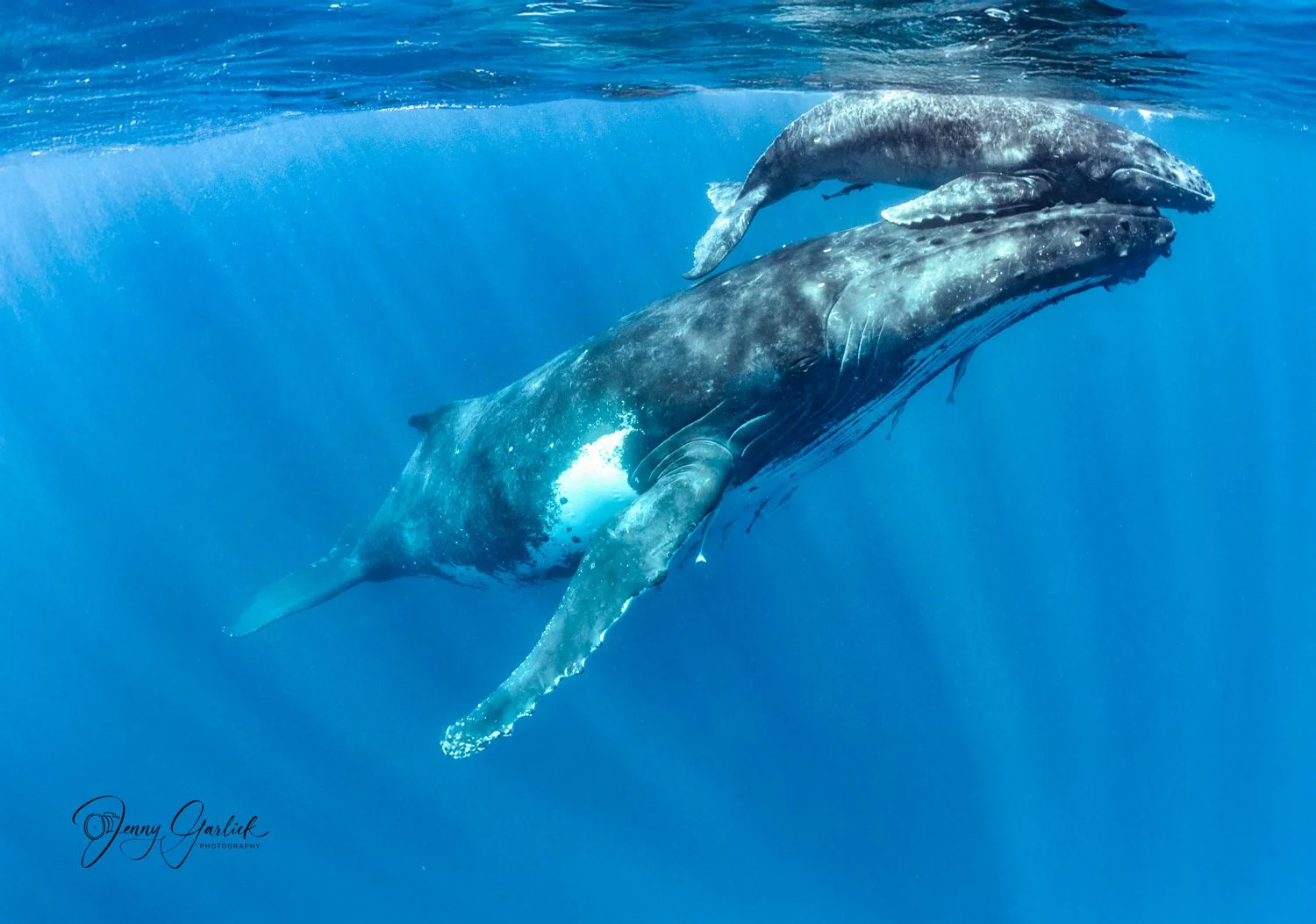 untitled shoot-054-Edit-Edit-2.jpg