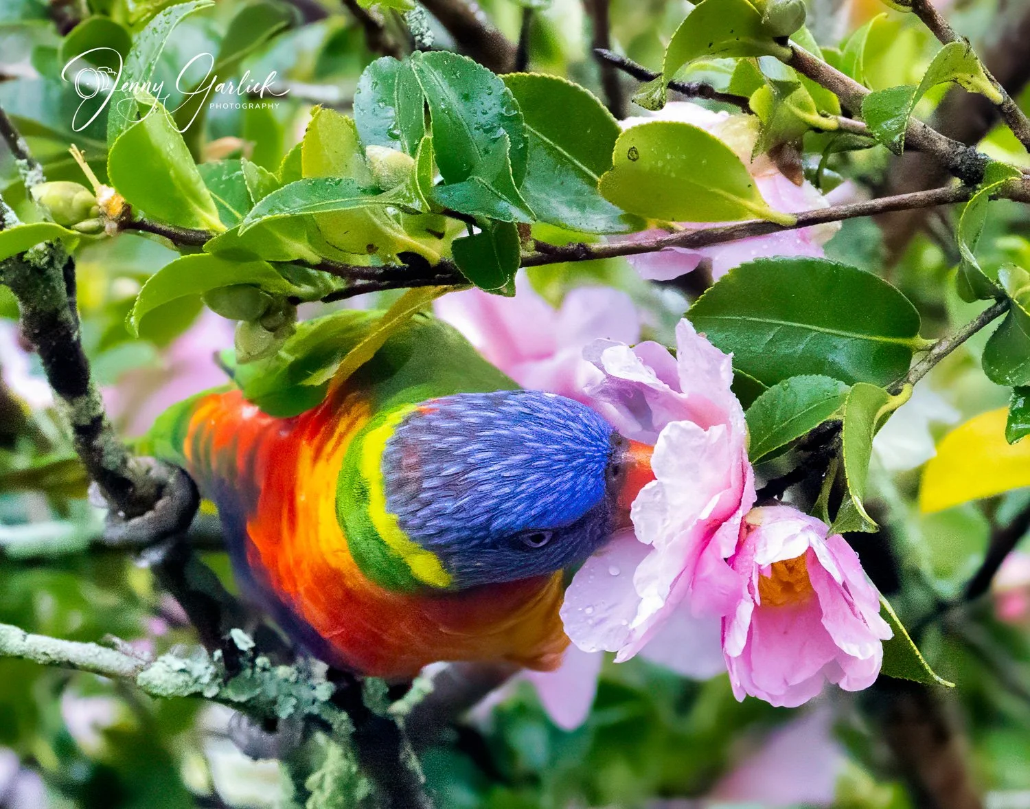 untitled (159 of 964)-Edit-Edit-Edit-2.jpg