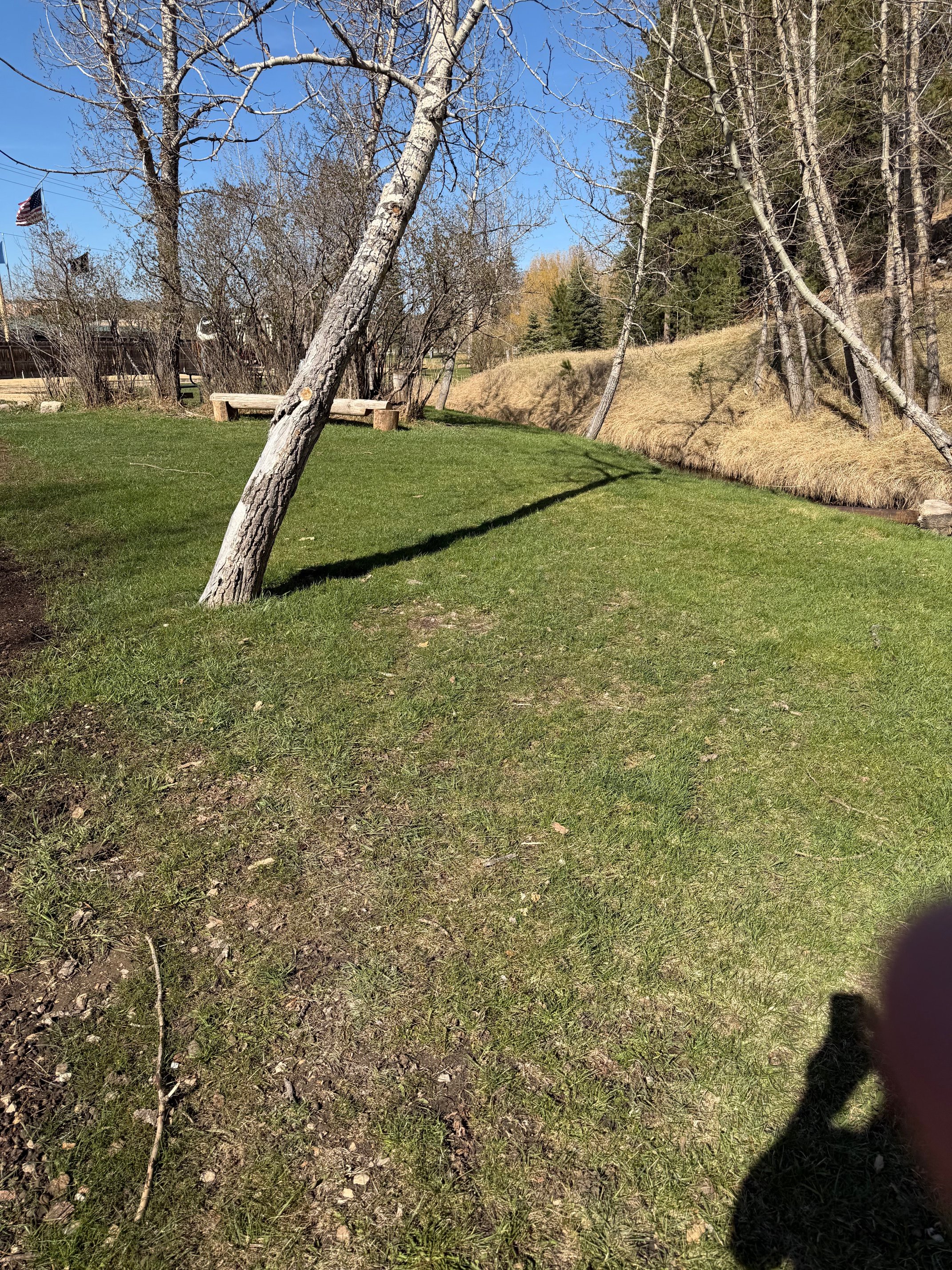 IMG_0504.jpeg
