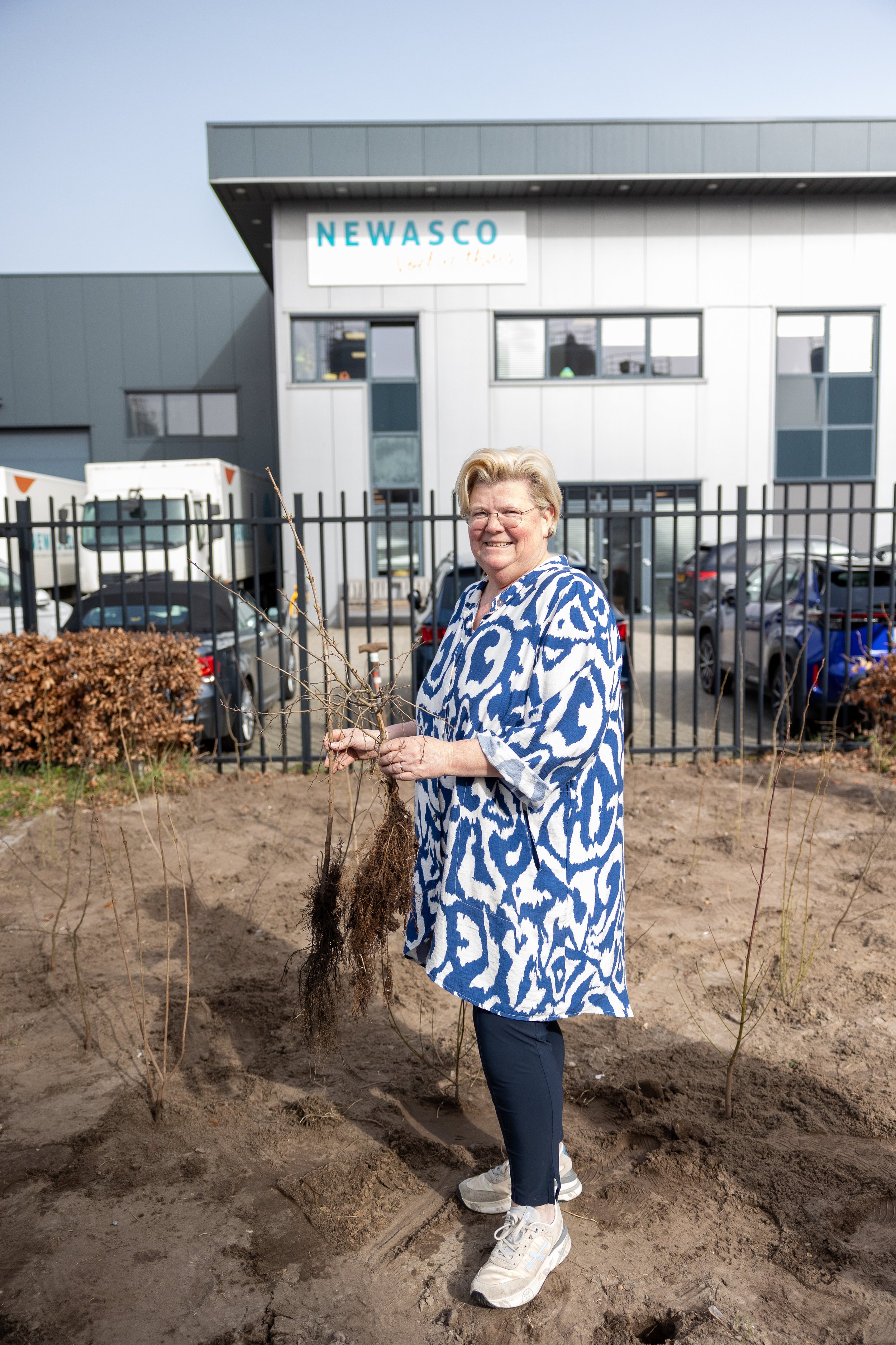 Heggen planten op bedrijventerrein in Rijen: ‘Belangrijke stapjes voor biodiversiteit’