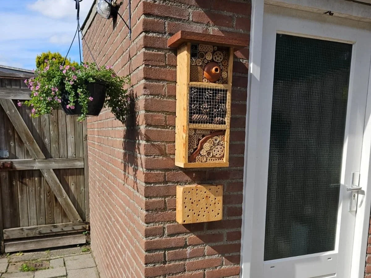 Beats, borders en bijen