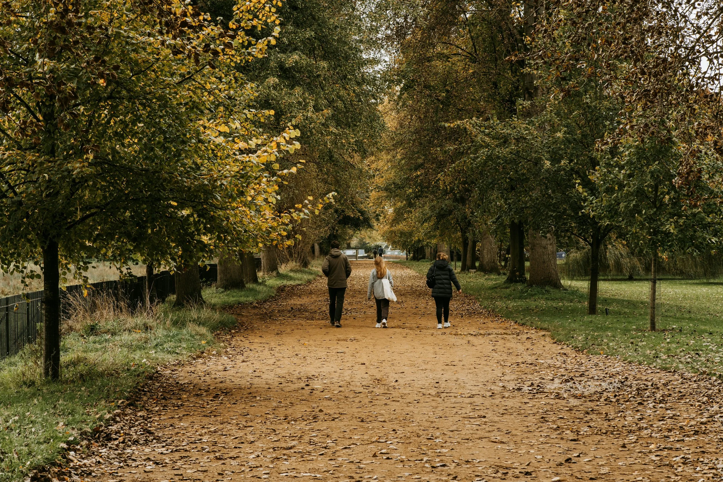 Therapist in Farmington, CT