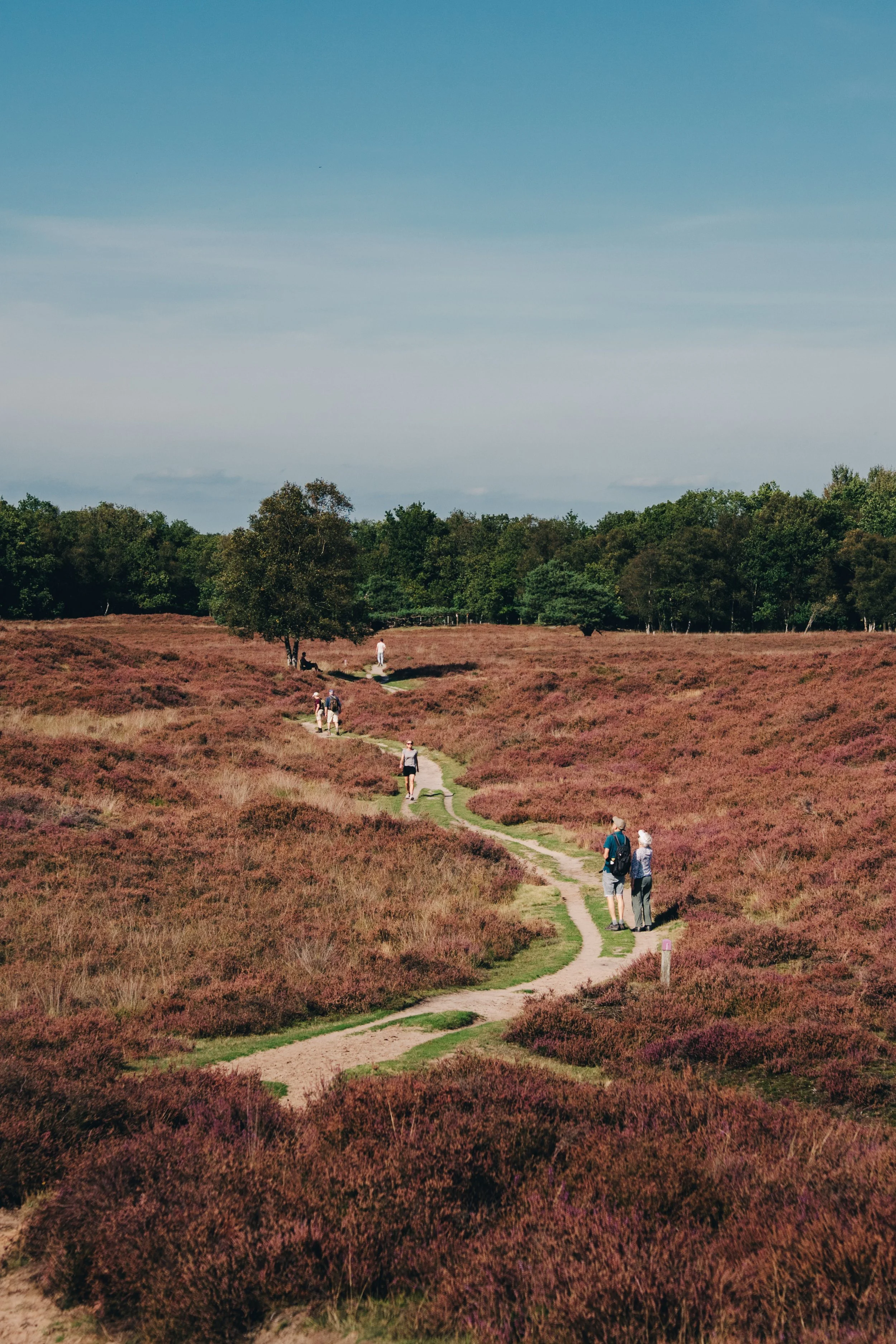 Nij Begun - Beeldbank