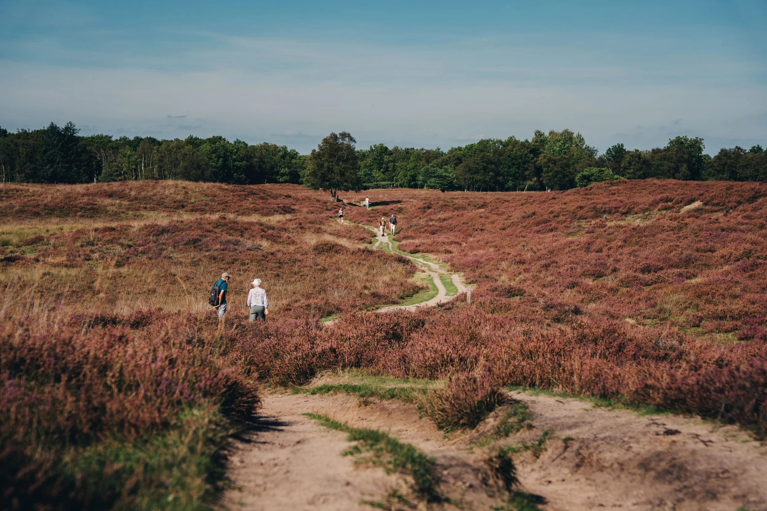 NIJ BEGUN BEELDBANK - FOTO JULIA ODENKIRCHEN-05806.jpg