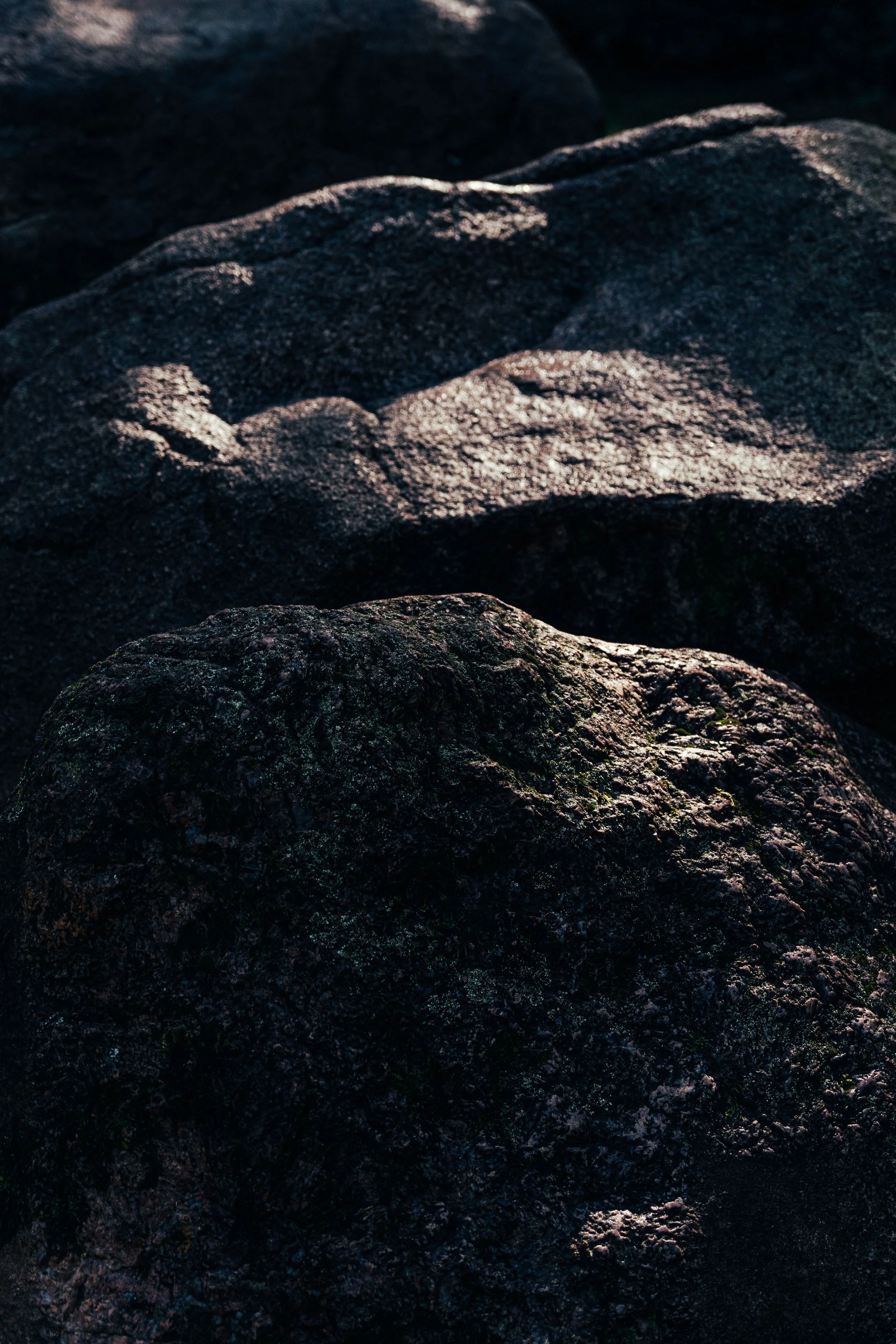 NIJ BEGUN BEELDBANK - FOTO JULIA ODENKIRCHEN-05433.jpg