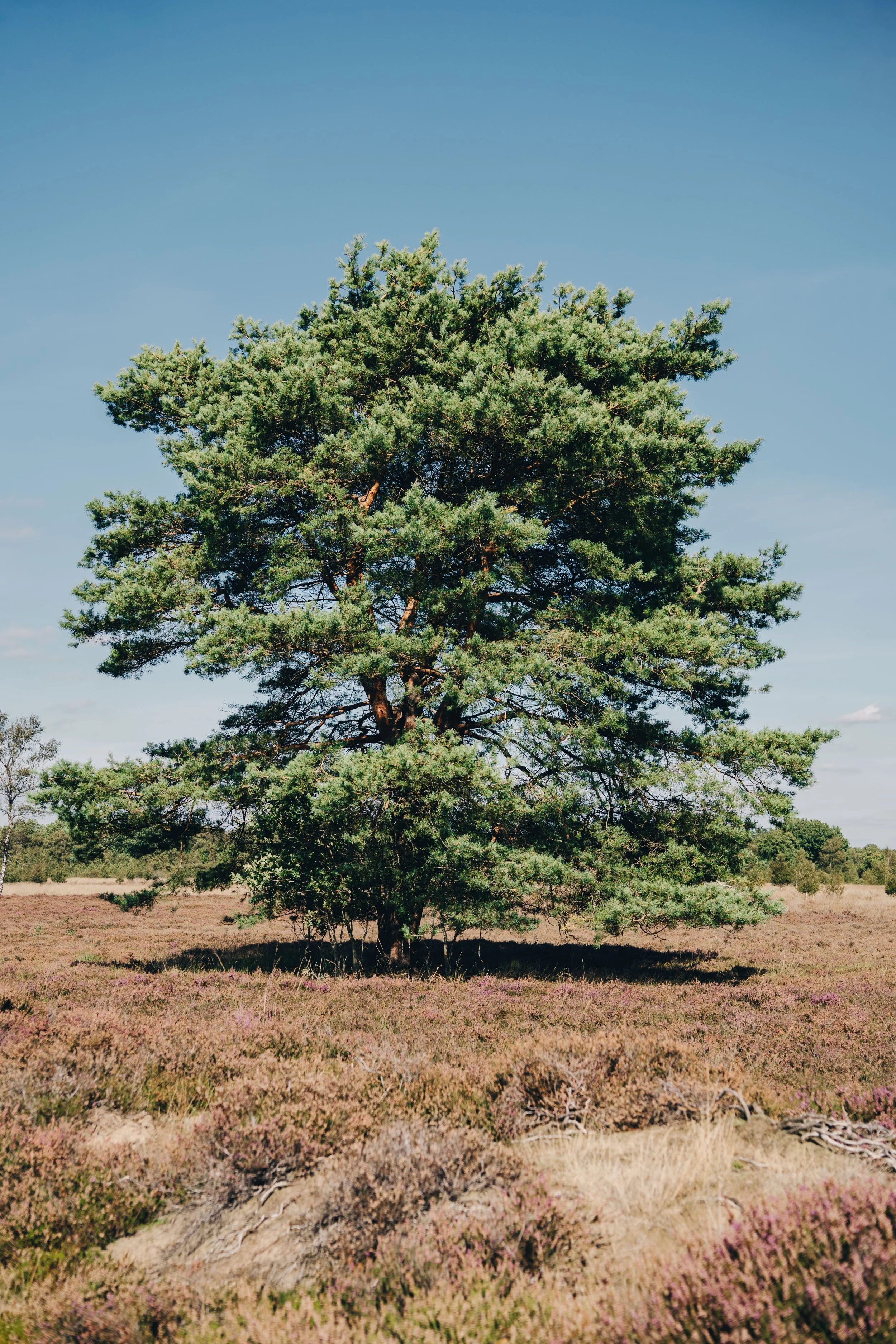 NIJ BEGUN BEELDBANK - FOTO JULIA ODENKIRCHEN-05775.jpg