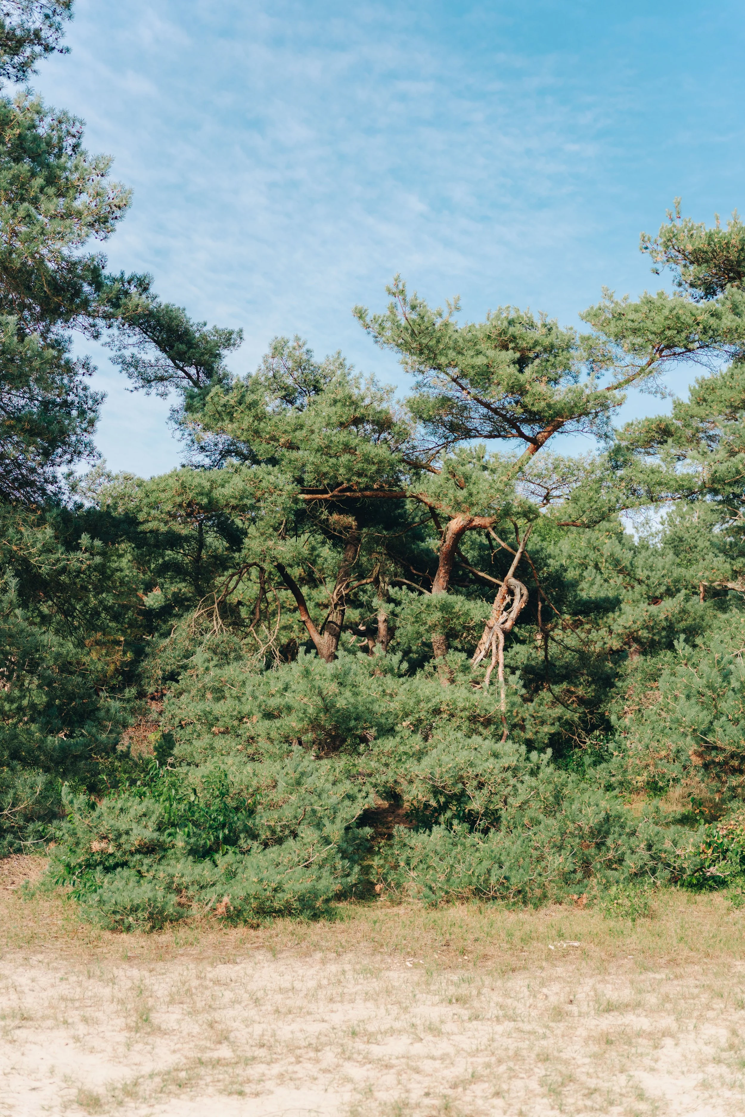 NIJ BEGUN BEELDBANK - FOTO JULIA ODENKIRCHEN-06642.jpg
