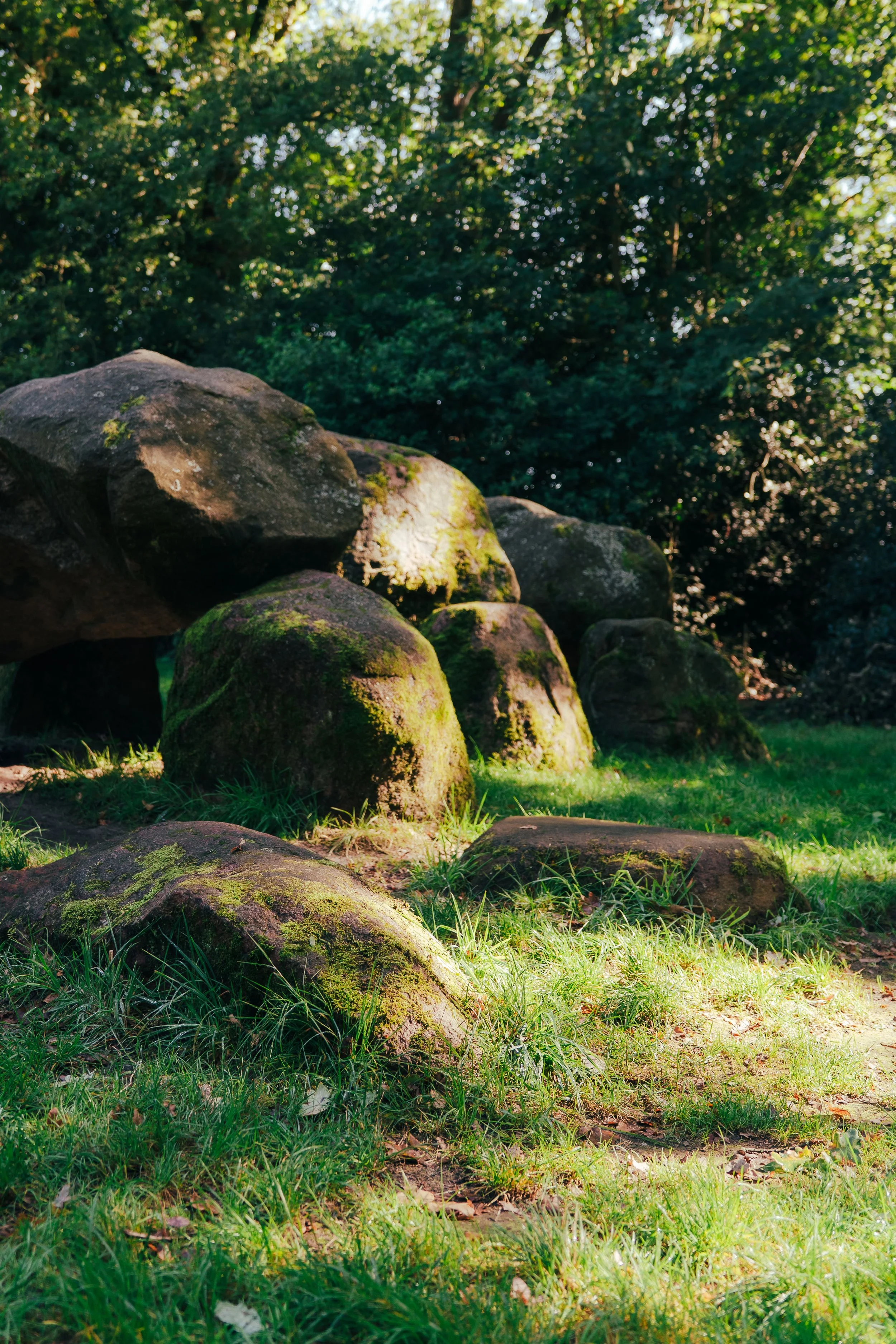 NIJ BEGUN BEELDBANK - FOTO JULIA ODENKIRCHEN-05439.jpg