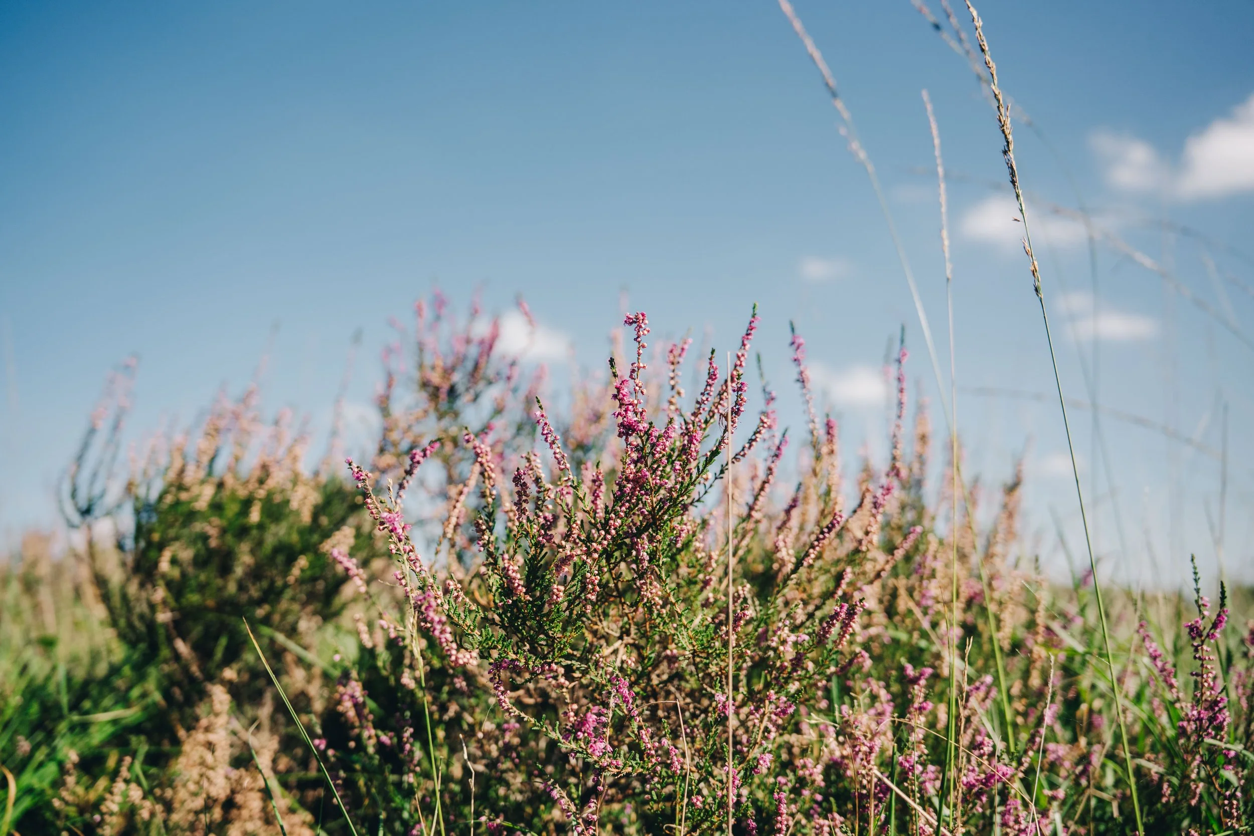 NIJ BEGUN BEELDBANK - FOTO JULIA ODENKIRCHEN-05714.jpg