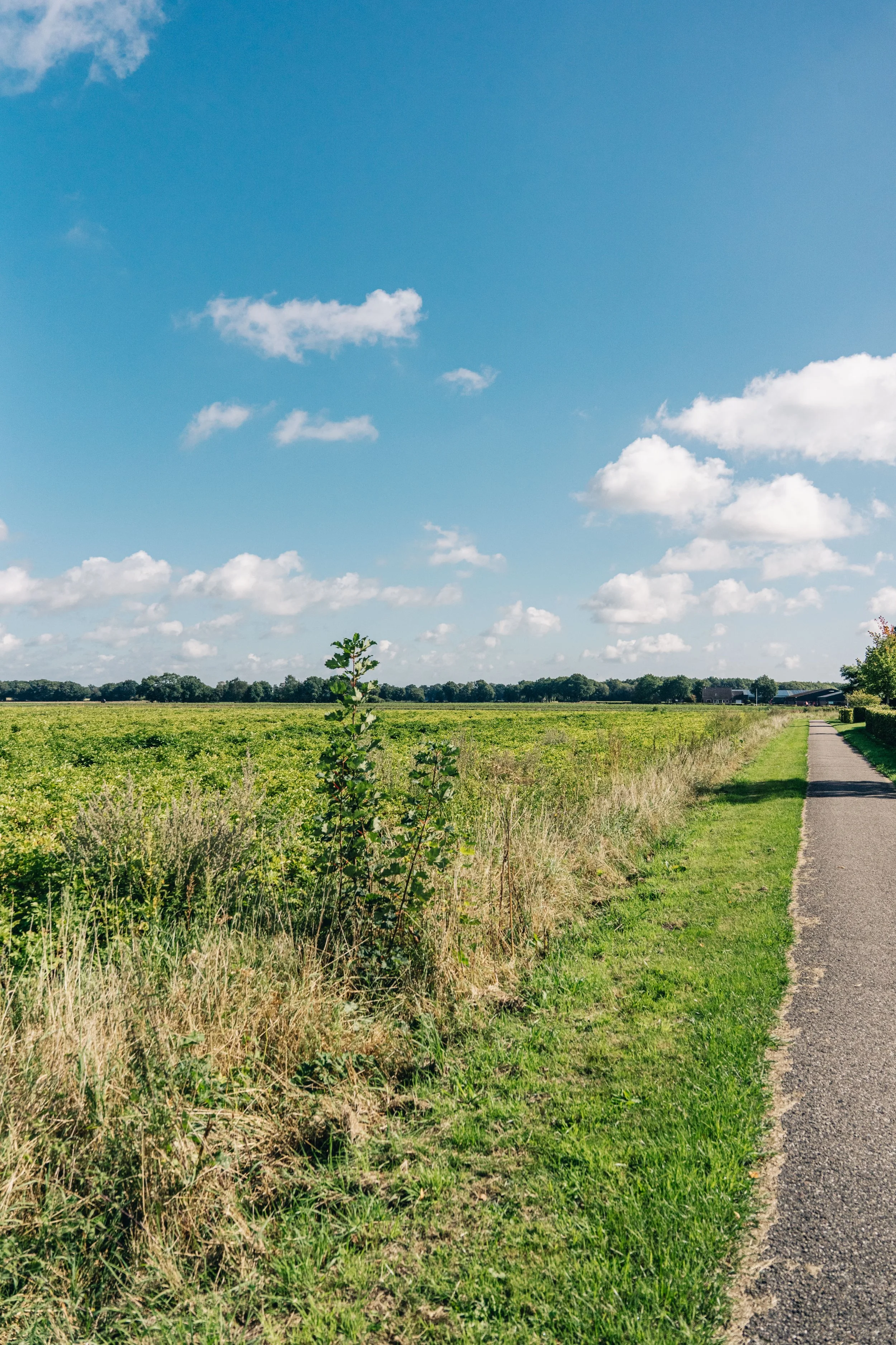 NIJ BEGUN BEELDBANK - FOTO JULIA ODENKIRCHEN-05498.jpg