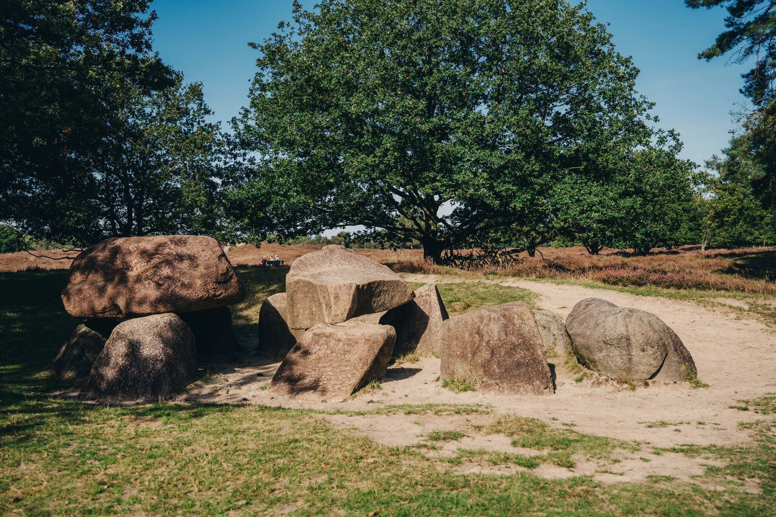 NIJ BEGUN BEELDBANK - FOTO JULIA ODENKIRCHEN-05823.jpg