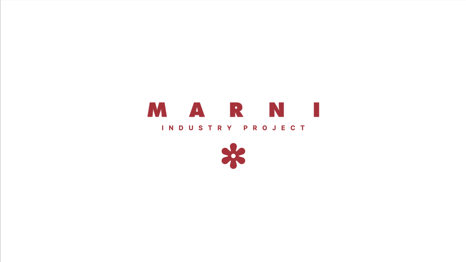 MARNI Industry Project