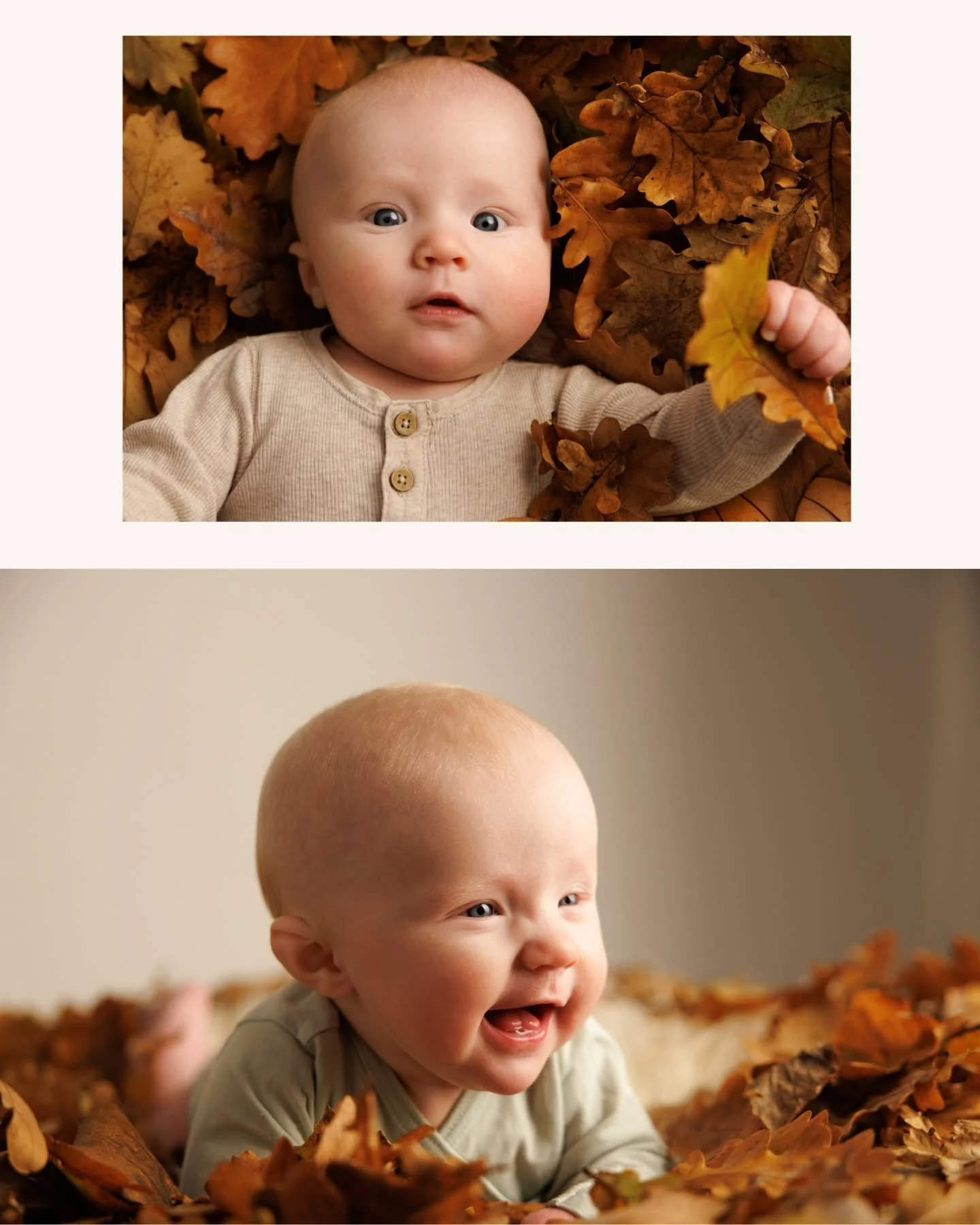 Pienen pojan syksyinen kuvaus - l&auml;mmin valo, pehme&auml;t s&auml;vyt, pikkuihmisen aito ilo ja ihmetys 🥰

#vauvakuvaus #lapsikuvaus #lapsikuvaaja #ammattivalokuvaaja #syksy #studiokuvaus