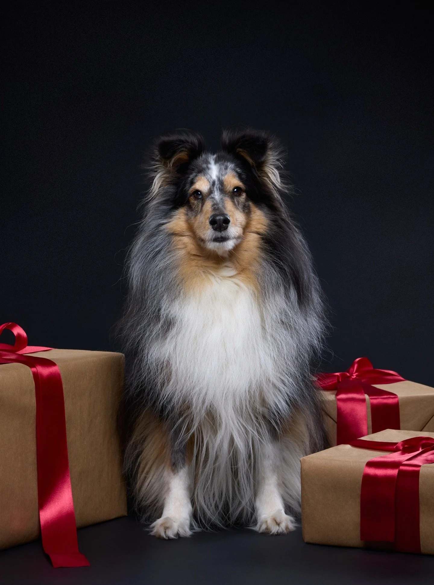 Kolmannen p&auml;iv&auml;n tonttu ottaa aina poseeraamisen todella vakavasti. Se p&ouml;n&ouml;tt&auml;&auml; paikallaan kunnes k&auml;sket&auml;&auml;n pois ja yritt&auml;&auml; &auml;nget&auml; malleilemaan muidenkin vuorolla 😂 Johtuu varmaan siit
