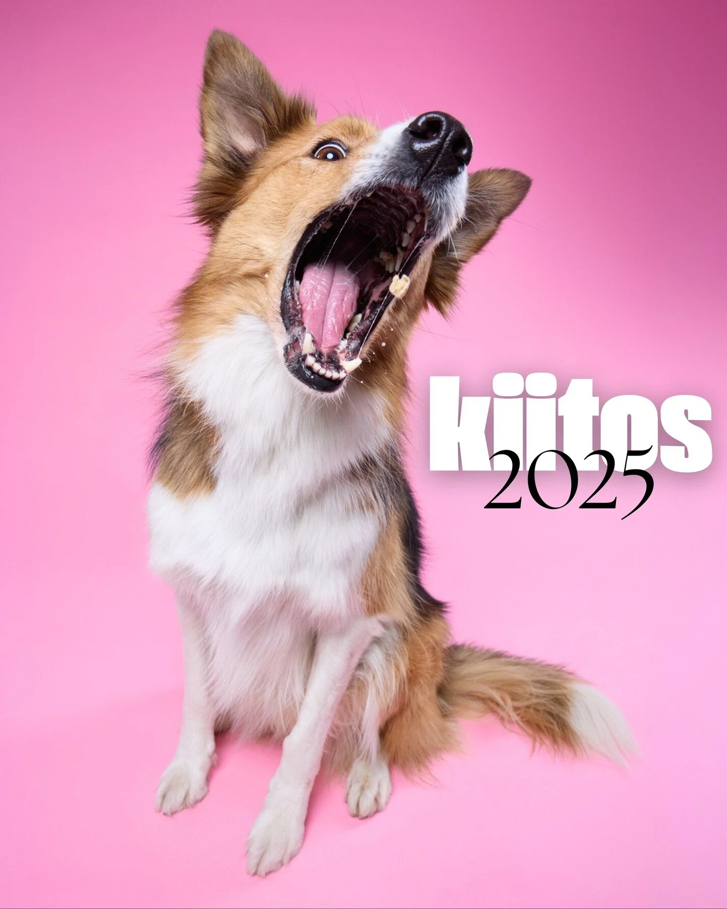 Kulunut vuosi 2025 oli mulle hyv&auml;, t&ouml;it&auml; ja tekemist&auml; riitti. 
Ennen kaikkea olen onnekas, ett&auml; vierell&auml;ni on maailman paras kumppani ❤️ 
Vuosi toi mukanaan onnistumisia, uusia mahdollisuuksia ja saavutuksia joista olen 