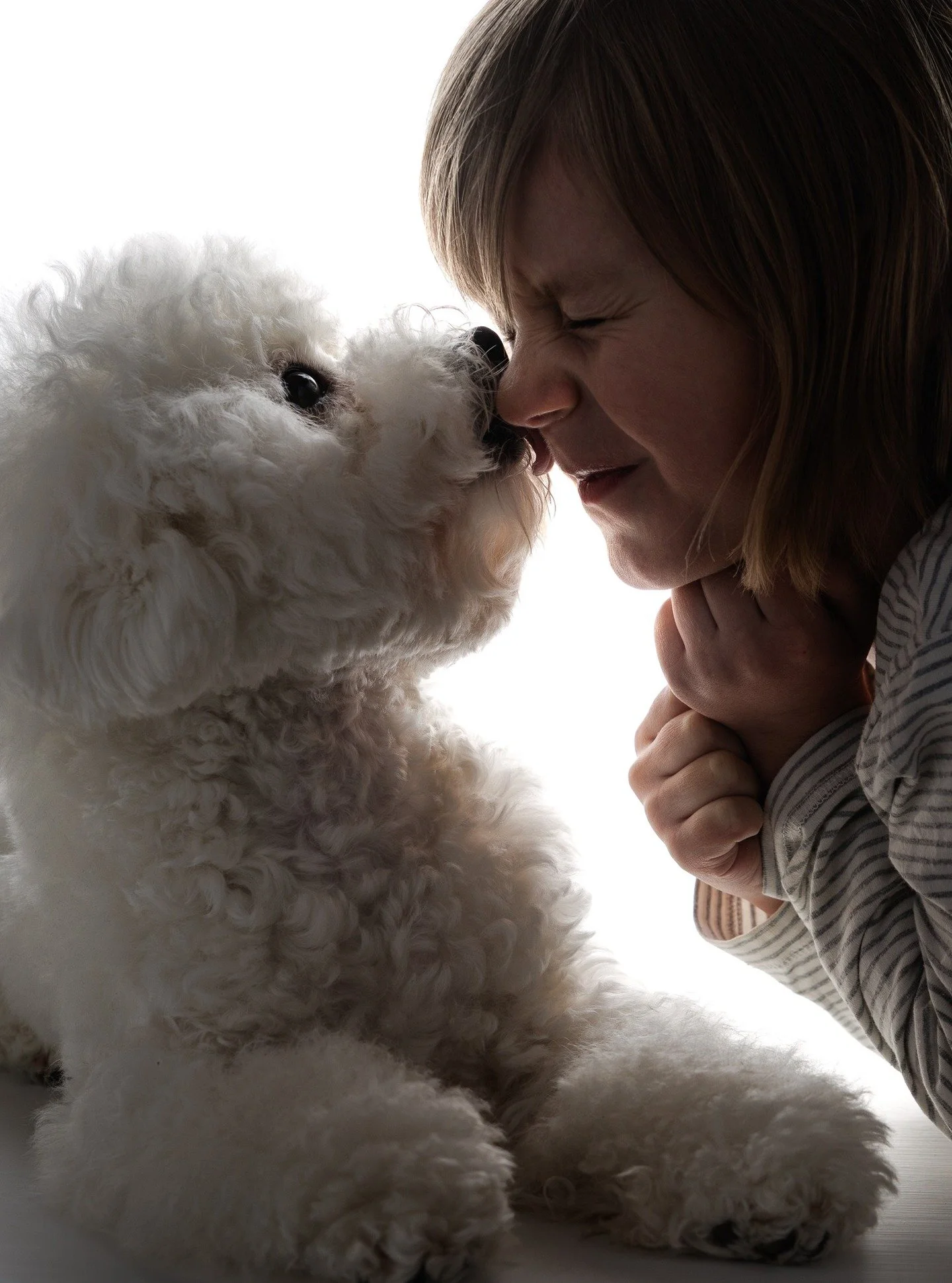 Yll&auml;ripusut on koiranpentujen superpower 😍
.
#lapsikuvaaja #lapsikuvausakaa #lapsikuvauspirkanmaa #lemmikkikuvaaja #koirakuvaus #koirakuvaaja #valokuvaajapirkanmaa #valokuvaajaakaa #bichonfris&eacute; #bichonsofinstagram #puppy