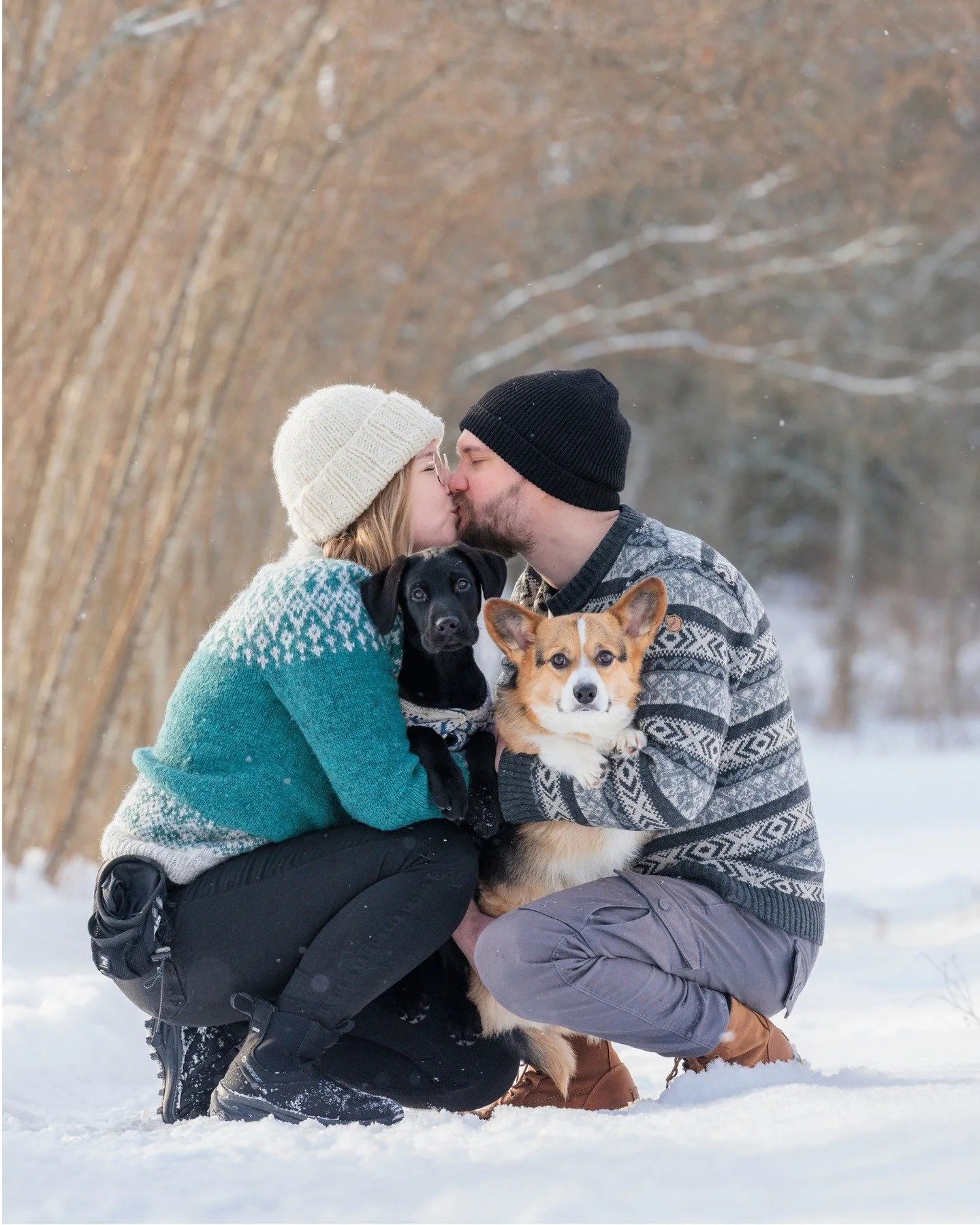 Koiraperheen kuvaus ❤️
Aurinkoinen pakkasp&auml;iv&auml;, hengitys h&ouml;yry&auml;&auml; ja lumi narskuu kenkien alla. 
Kuvaus, miss&auml; sormet j&auml;&auml;tyy, mutta tunnelma on l&auml;mmin. 

T&auml;m&auml; viikko toi mukanaan huippuja uutisia!