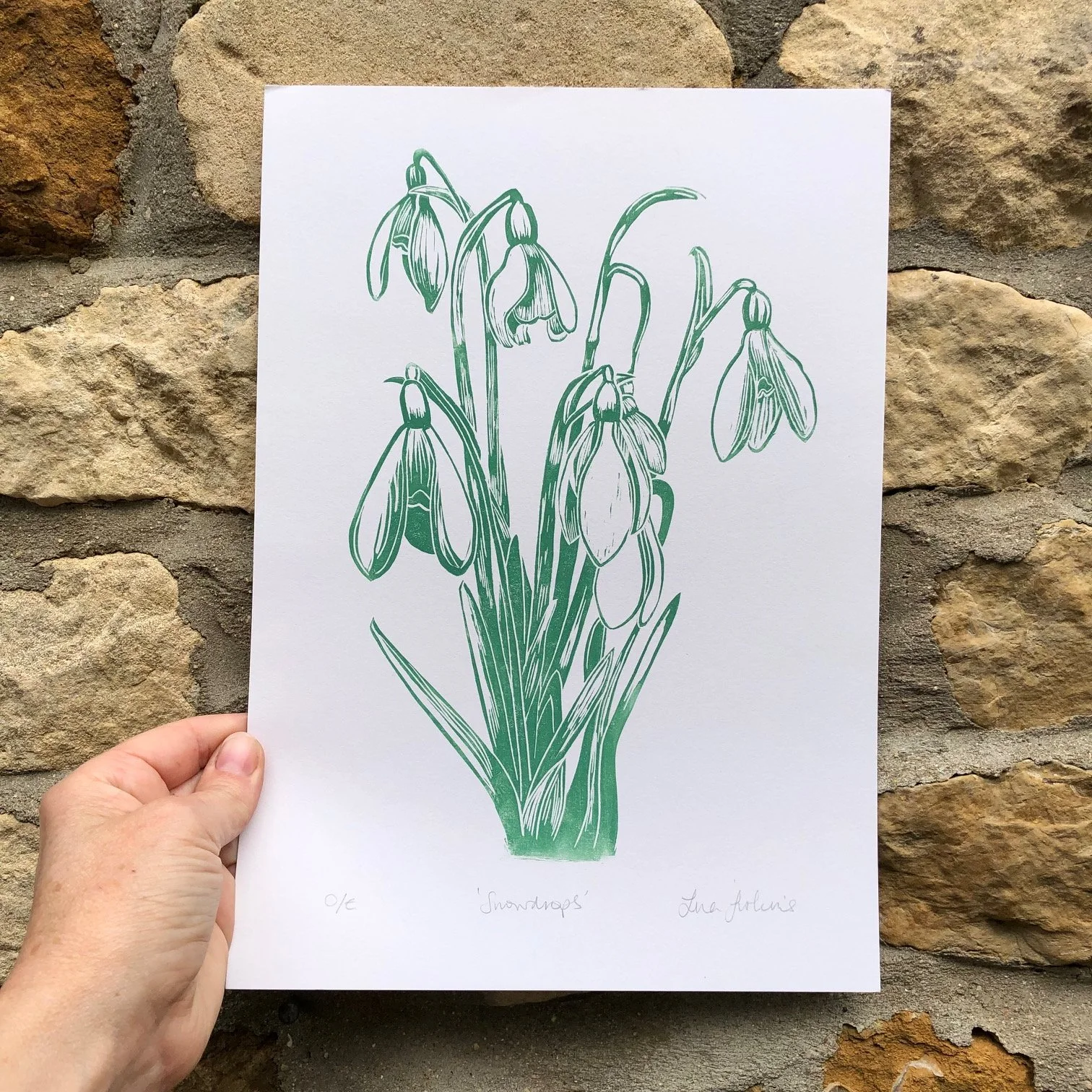 snowdrops linoprints.jpg
