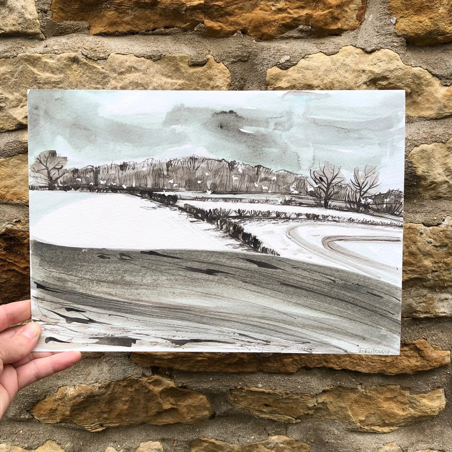 snow and seagulls giclee.jpg