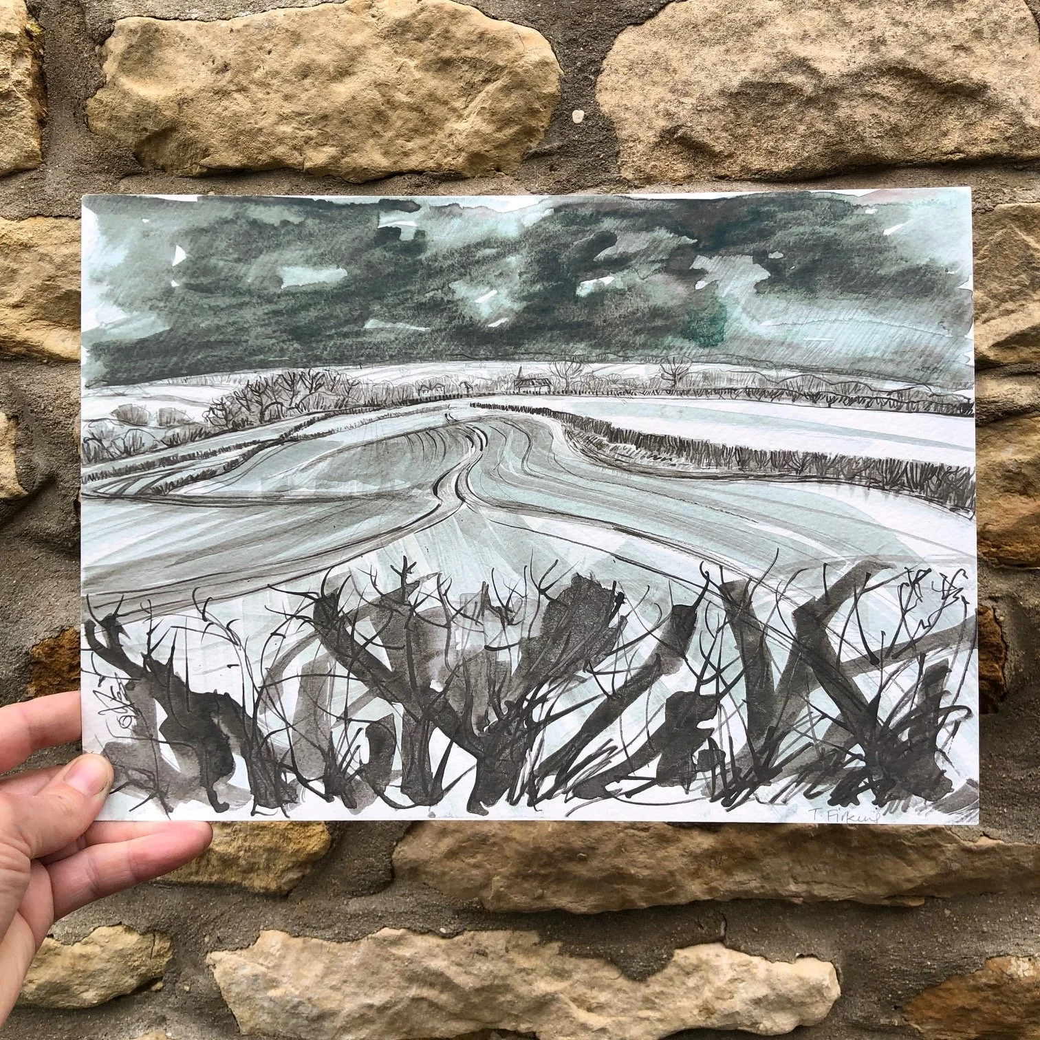 over winter hawthorn giclee2.jpg