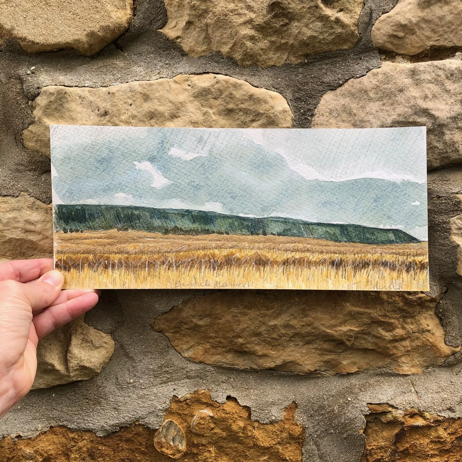 berwick harvest painting.jpg