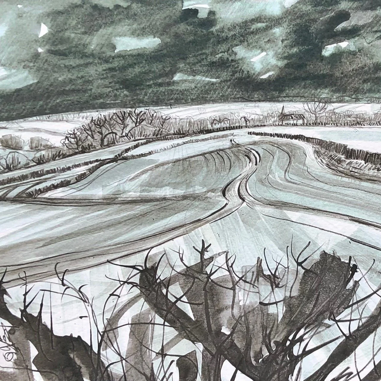 Over Winter Hawthorn