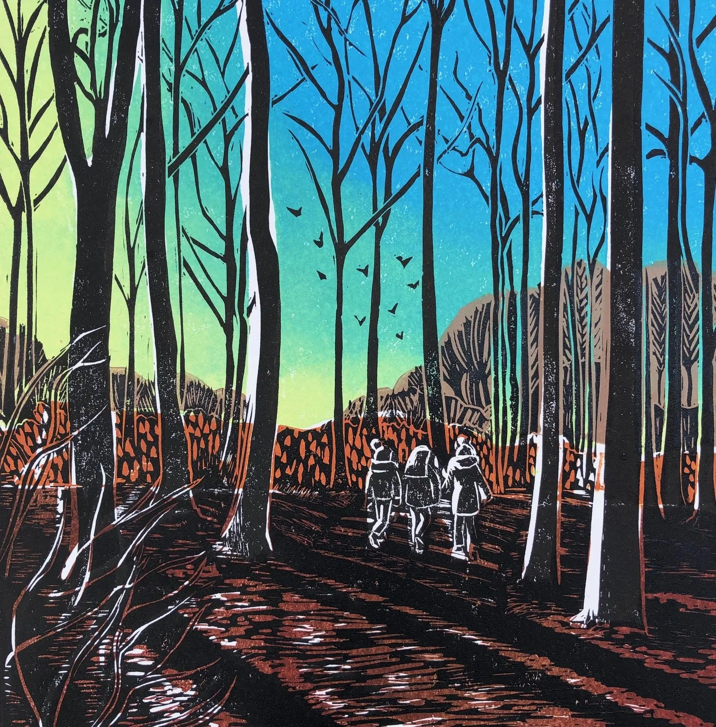 Morning Sun in Fineshade Woods