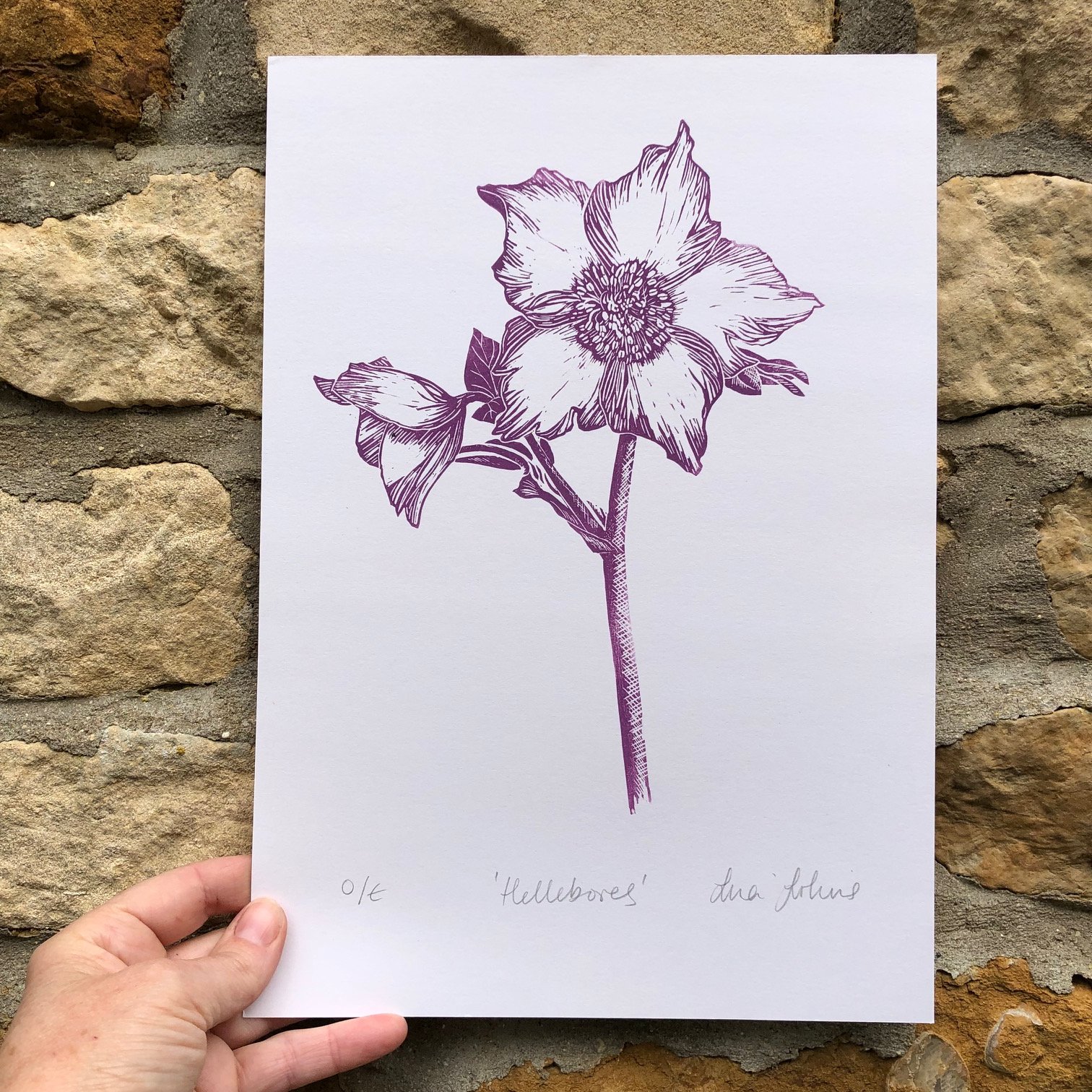hellebores linoprint.jpg