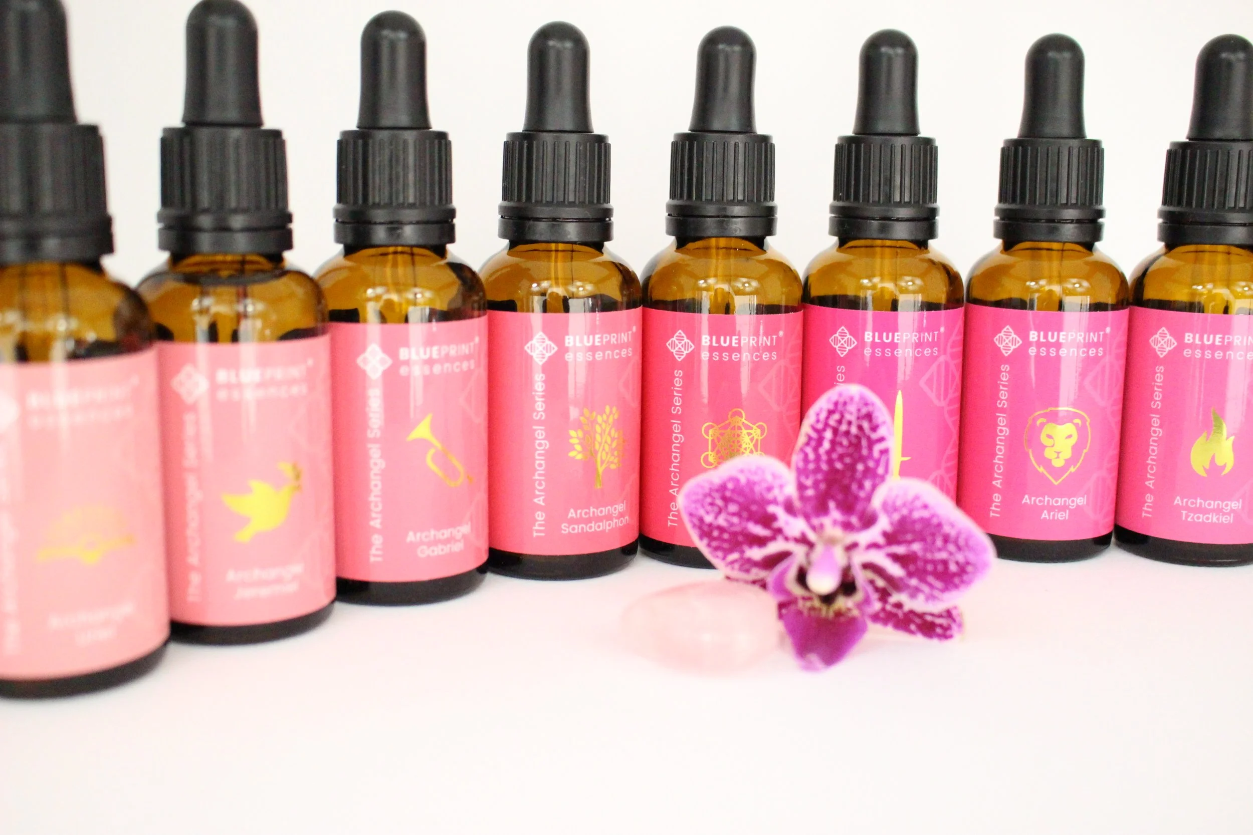 Row of glass dropper bottles labeled 'Archangel Series' with a purple orchid in front.