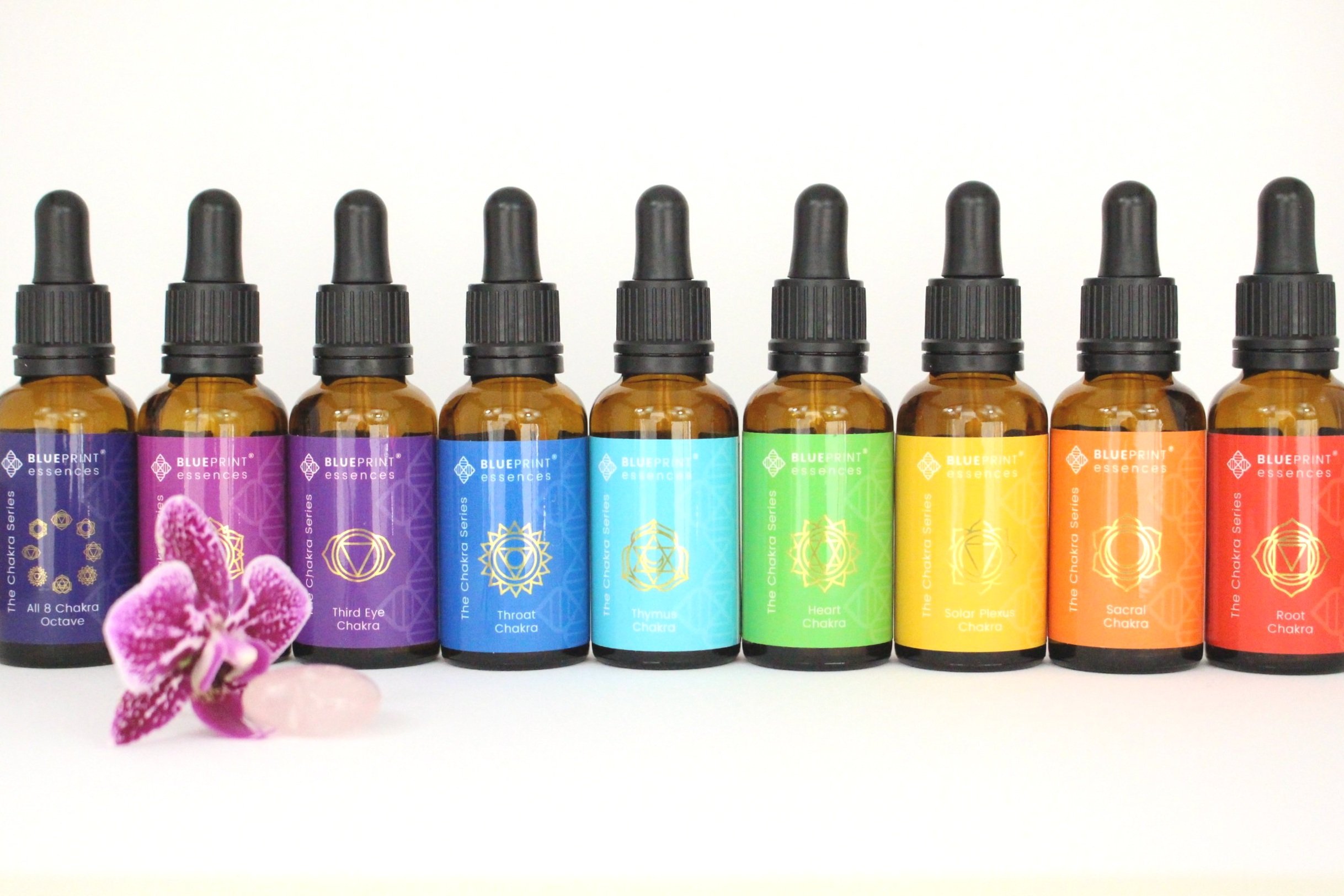 Set of chakra essence bottles with dropper caps, labeled for each chakra, arranged in a row behind an orchid and a small crystal.