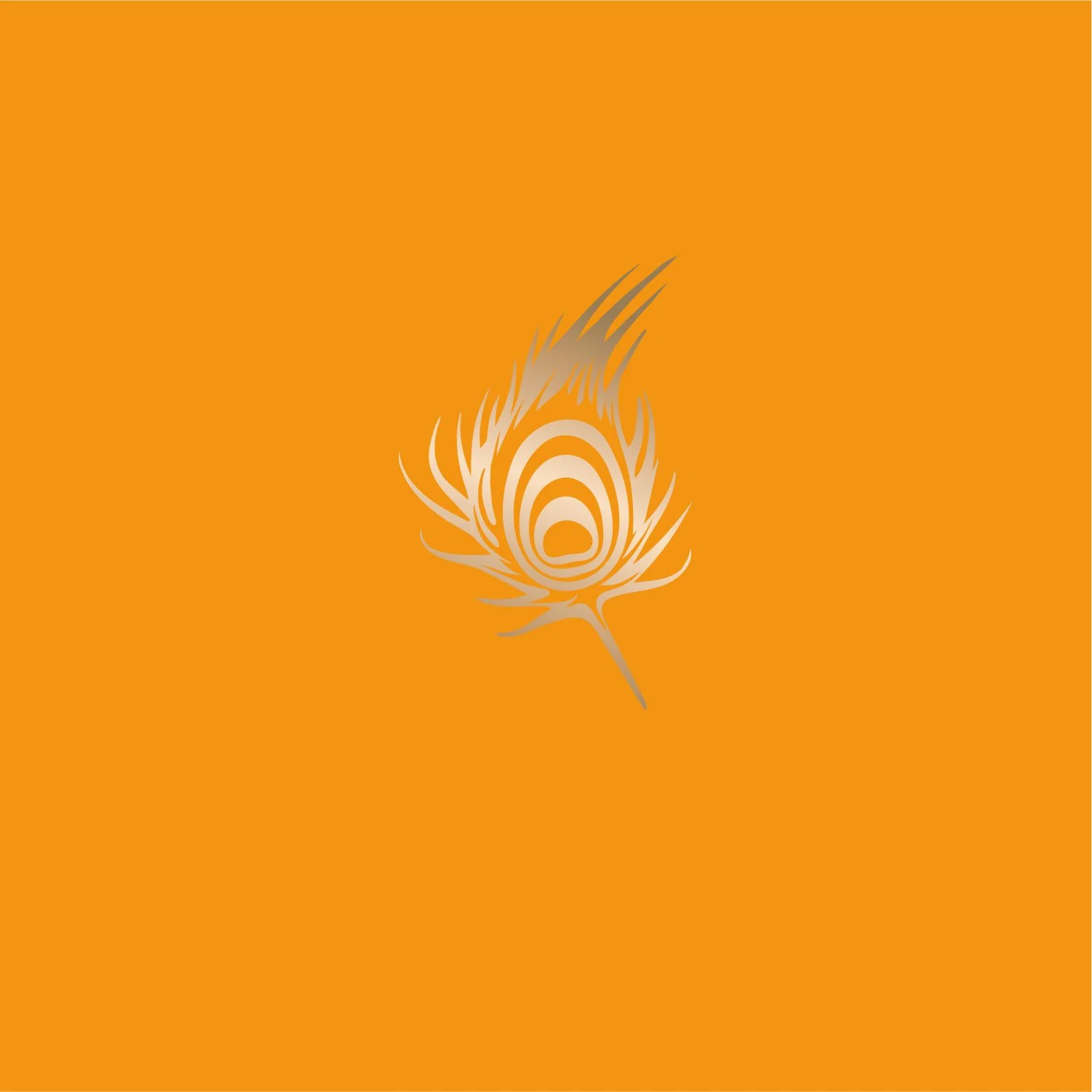 Stylized peacock feather on orange background
