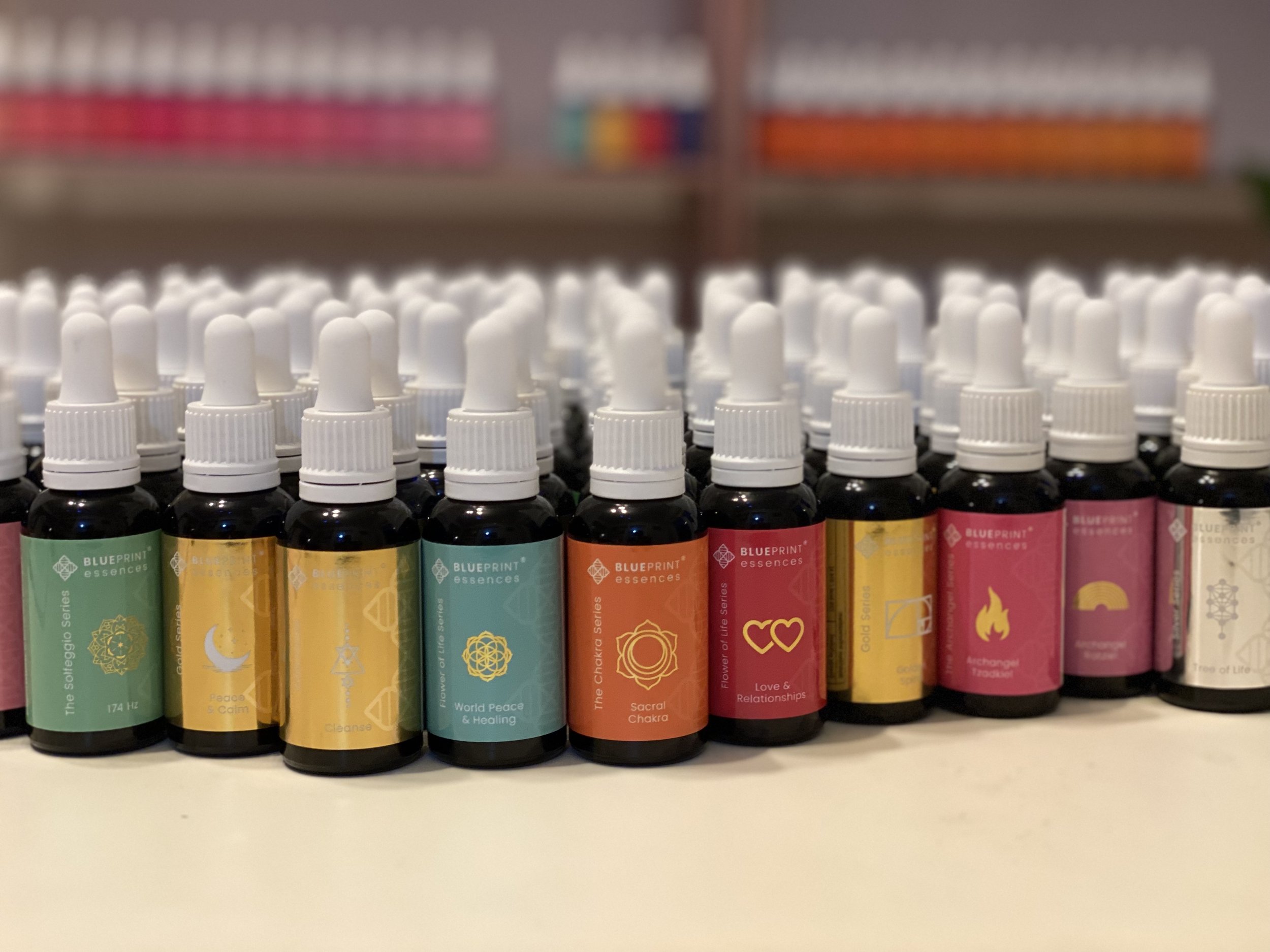 Complete Set - All 111 Blueprint Essences®