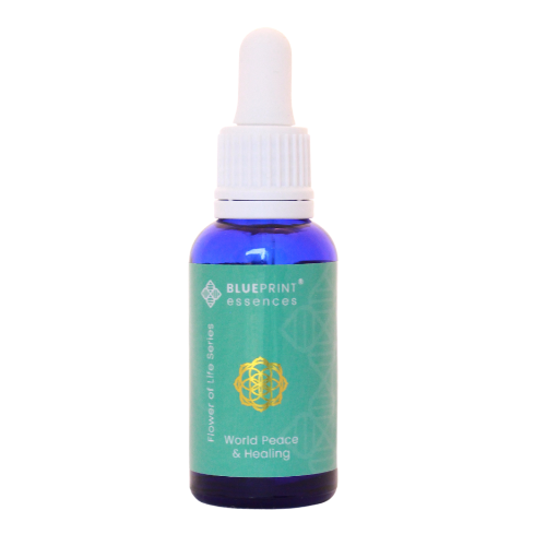 World Peace & Healing