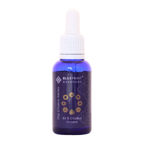 All 8 Chakra Octave