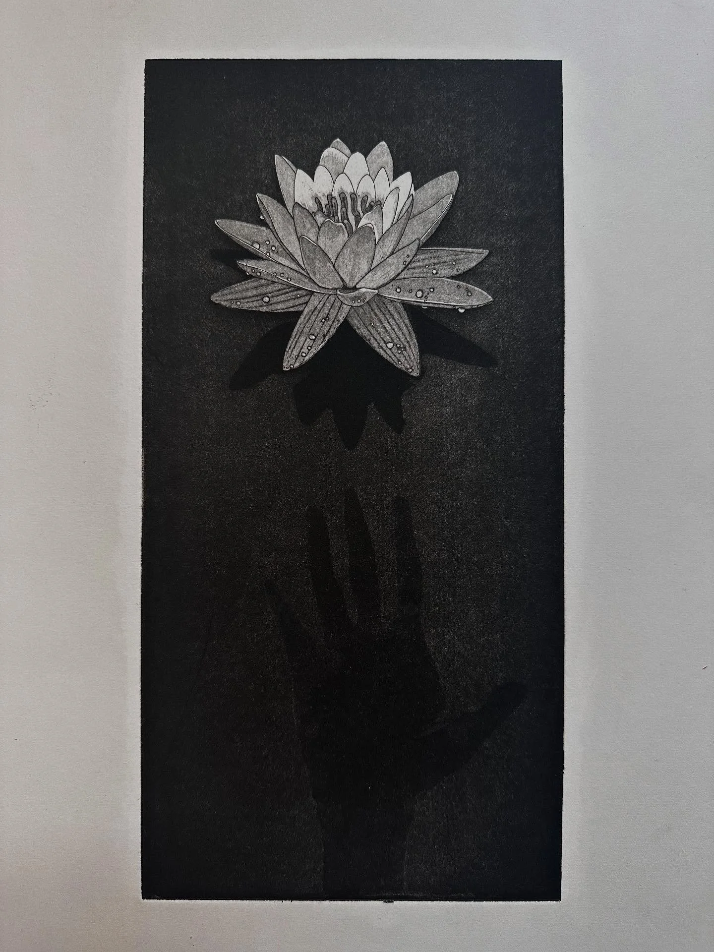 I&rsquo;ve managed to salvage a single print of the waterlily from before I ruined the plate. I&rsquo;ll be selling this as a one off, but I&rsquo;ll also make a new version later this year. #fineart #etching
