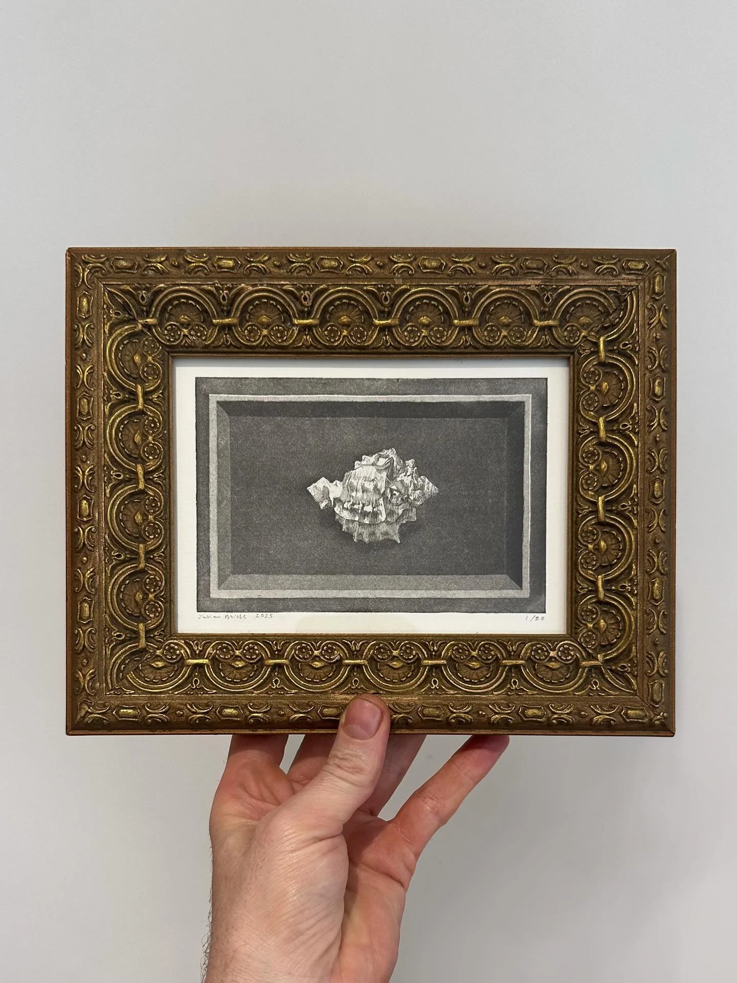 Prints Available (link in bio). Shell in a trinket box. Etching 15x10cm. Part of a larger series (more pieces coming soon) #etching #fineart #fineartprintmaking #printmaking #intaglio #intaglioprintmaking #framedartwork