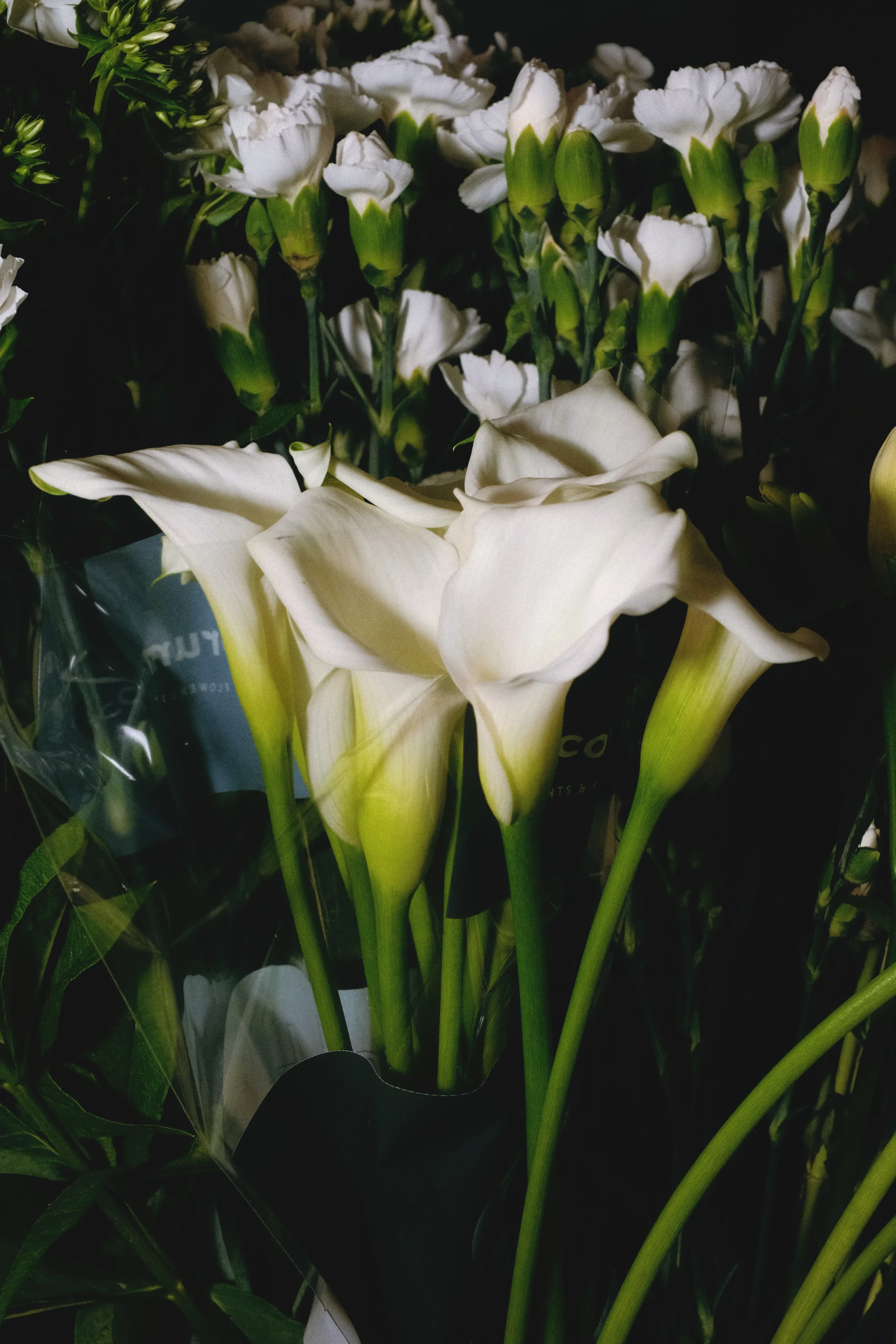 Un bouquet de fleurs blanches, principalement des œillets et des callas, avec des feuilles vertes, en partie dans un emballage.