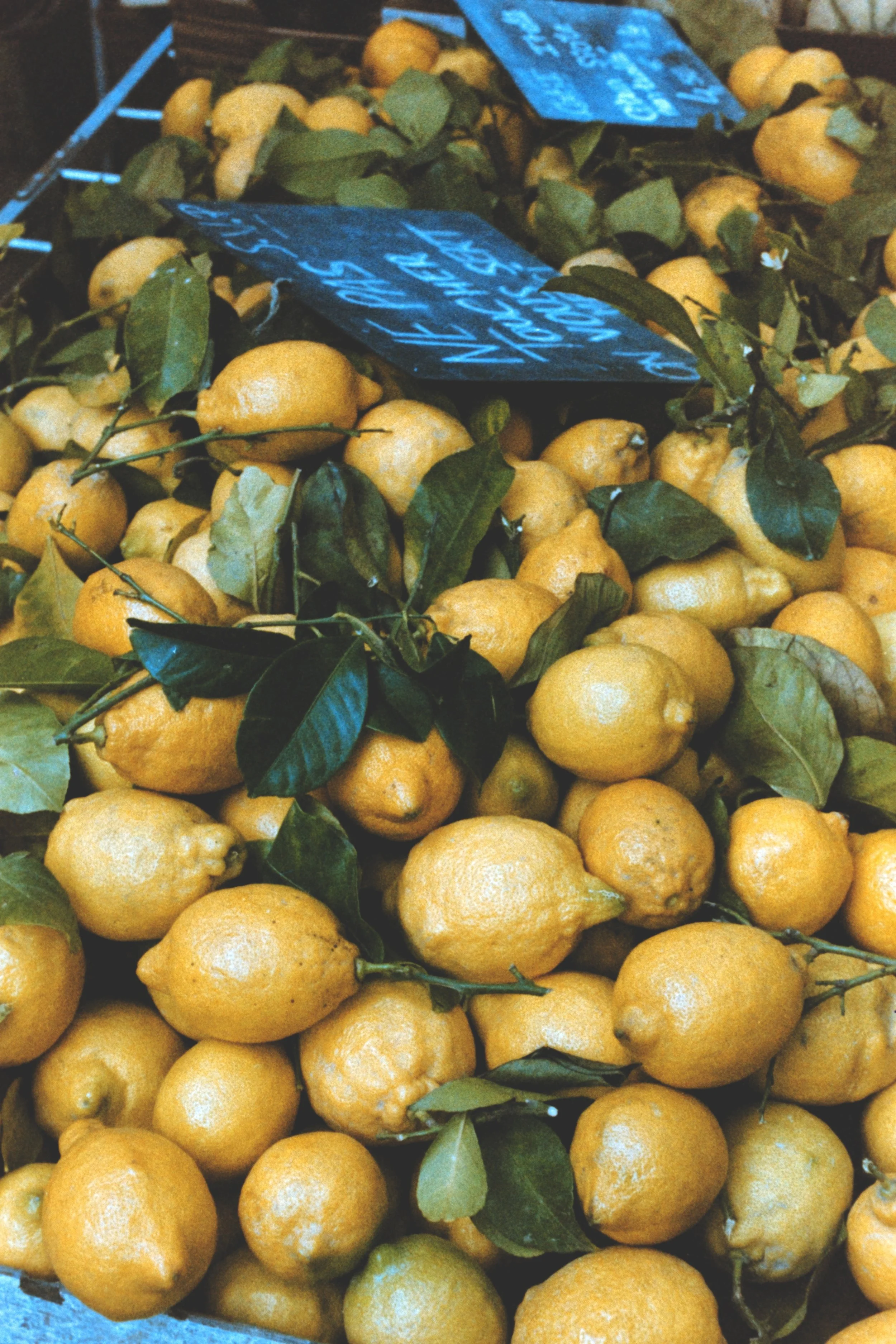 
Citrons avec des feuilles vertes sur un étalage de marché. Editorial