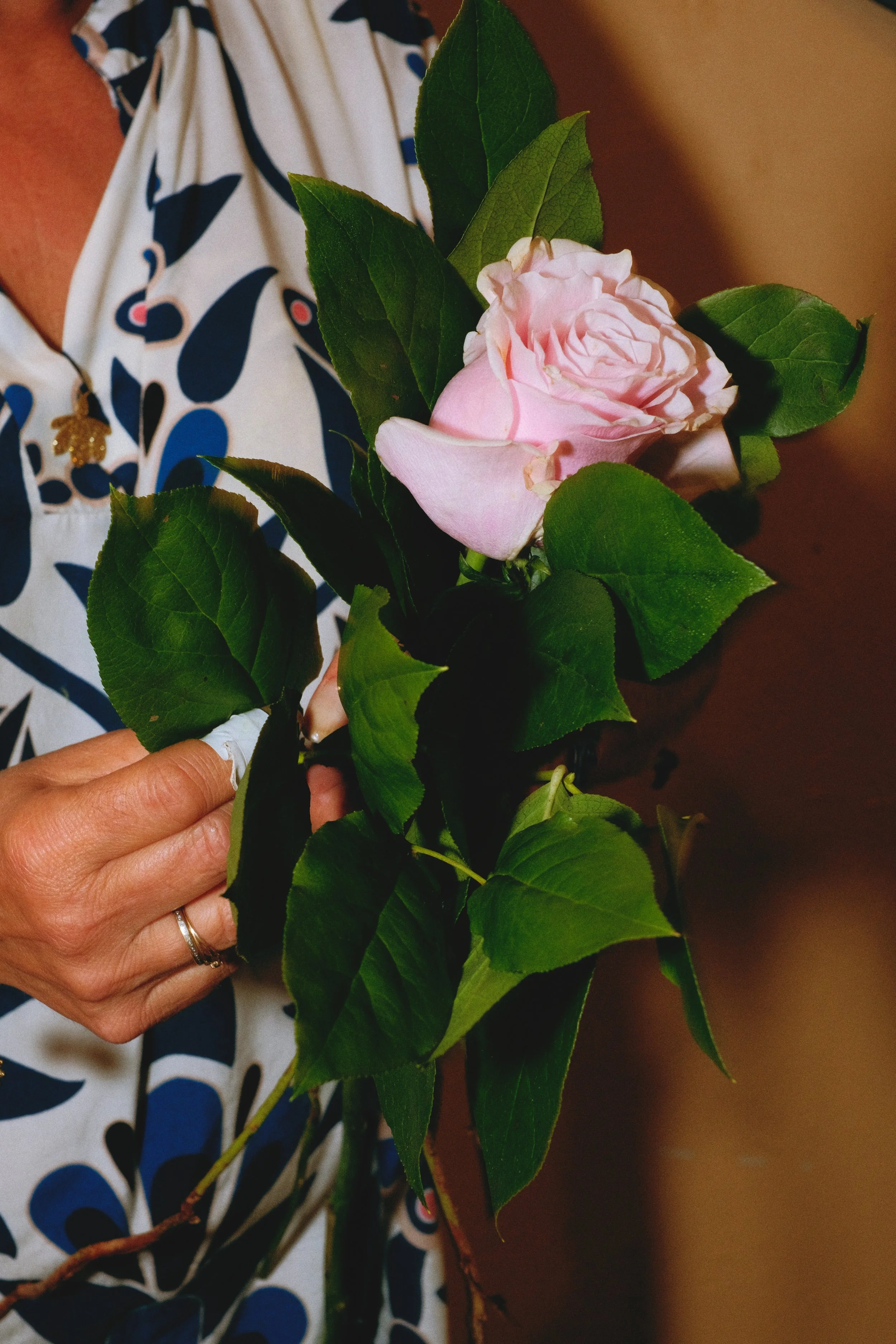 Une personne tient une petite épingle avec une boutonnière de rose rose clair entourée de feuilles vertes.